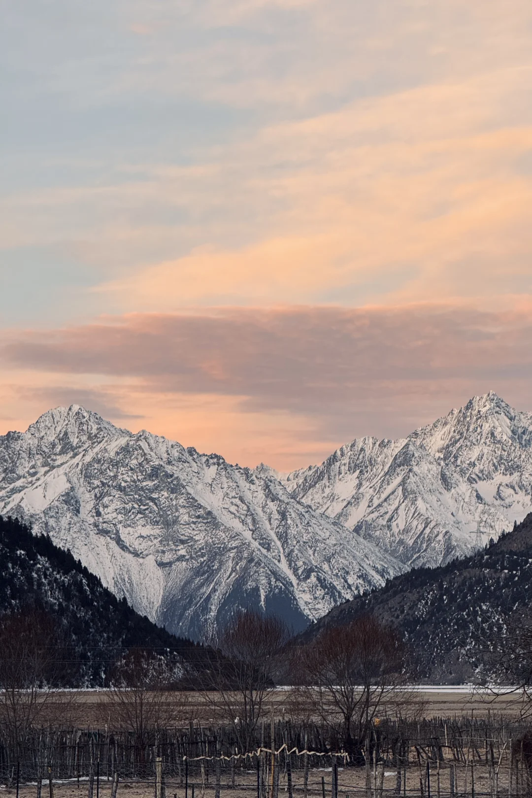 Live｜西藏的美是避世的