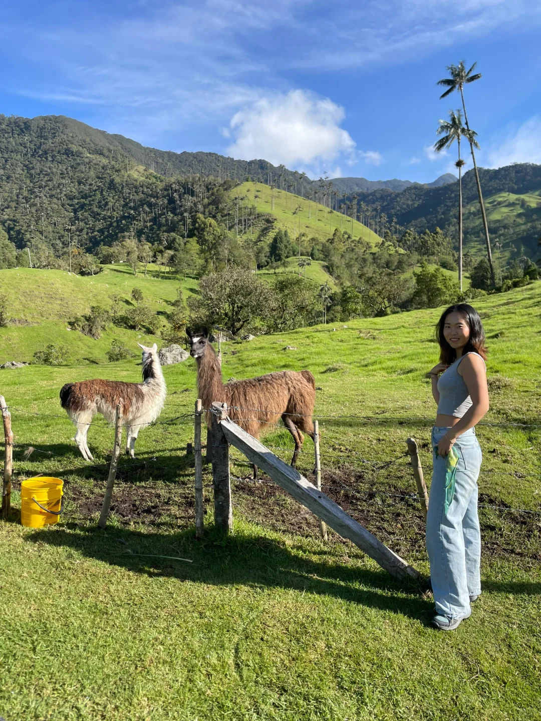 23岁一个人来到离中国最远的地球另一端🌍🎒