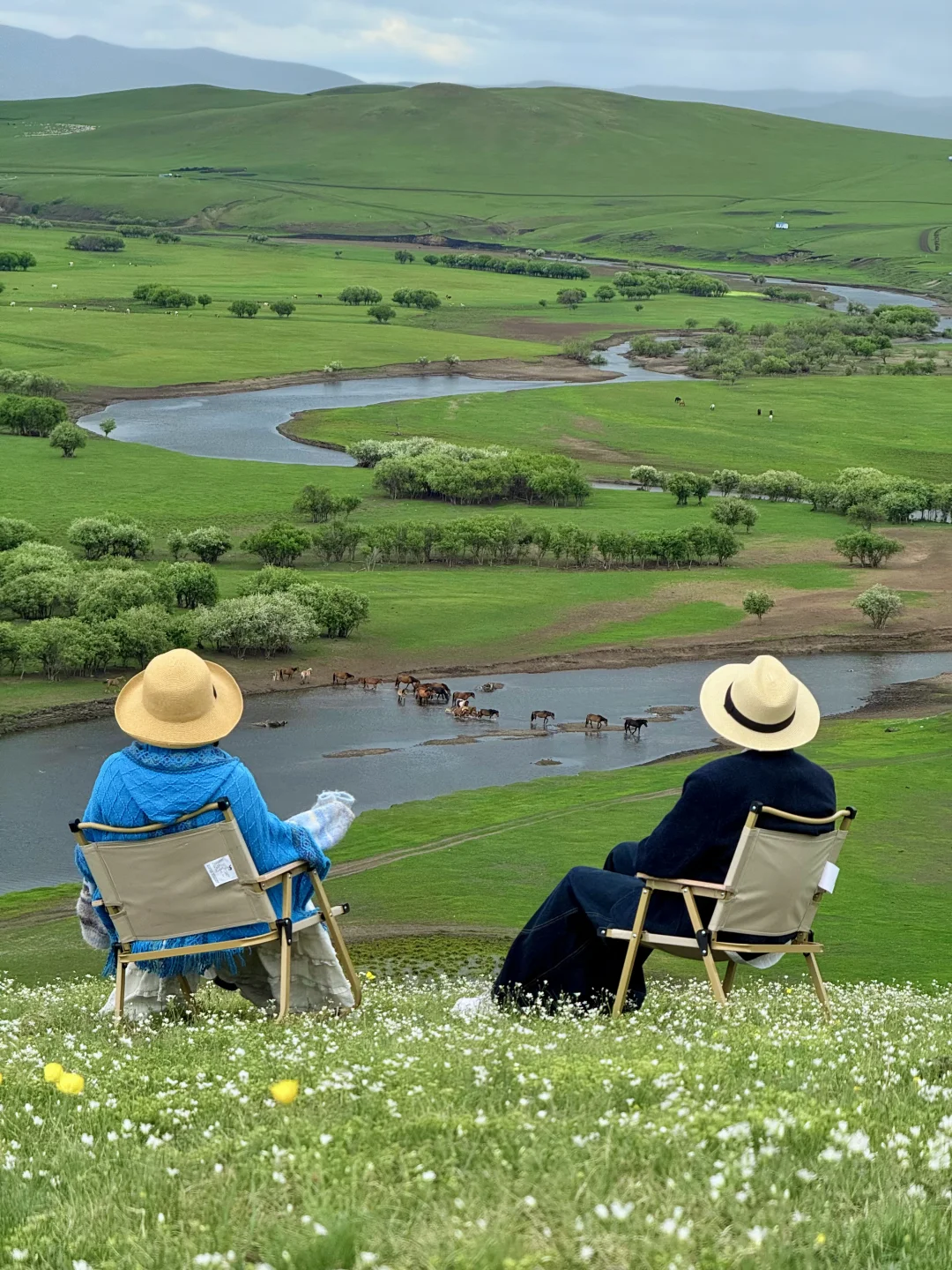 Live实拍❗️初夏的内蒙古才是人间理想❗️