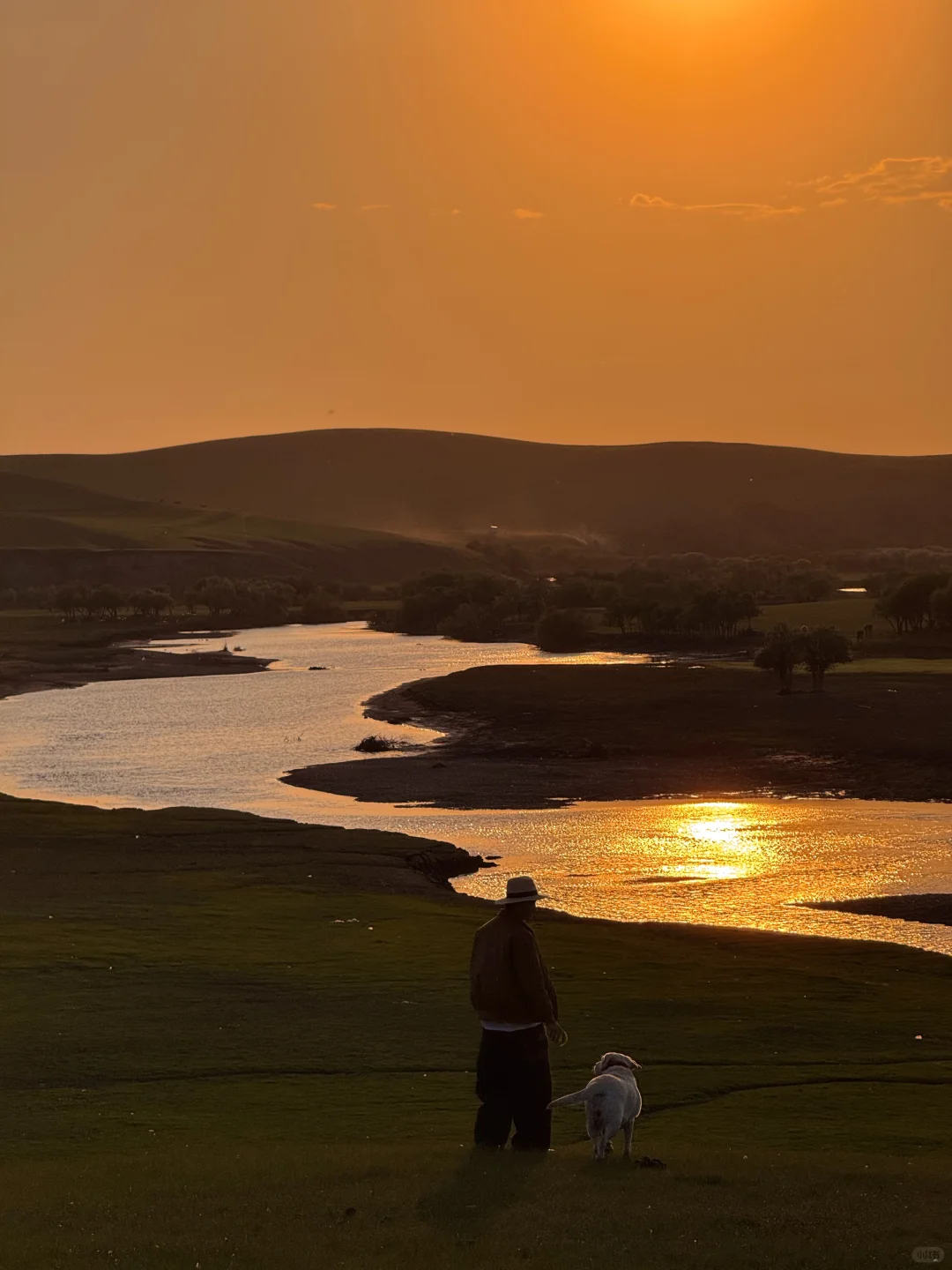 Live实拍❗️初夏的内蒙古才是人间理想❗️