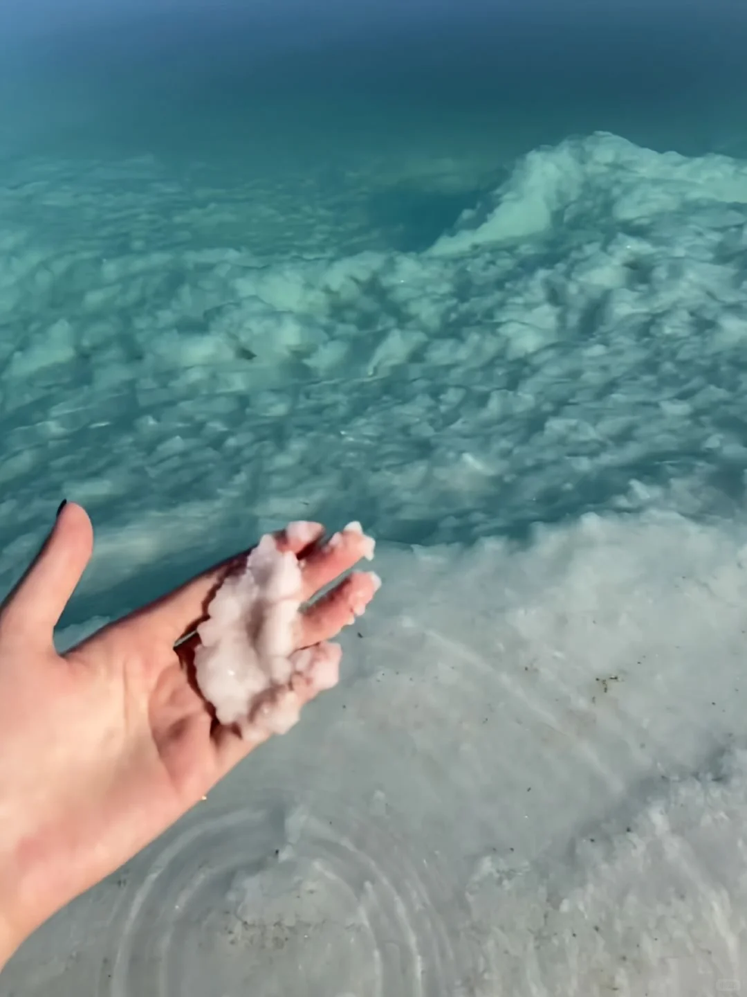 关于我和男朋友报了个西北半自由团后续……