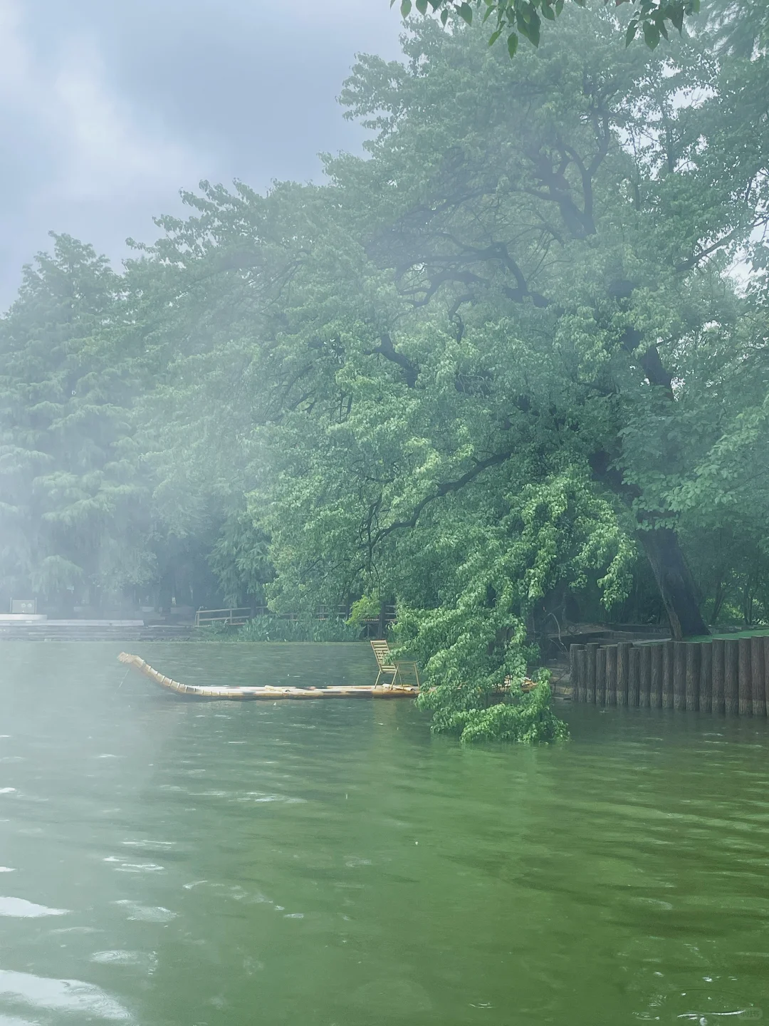 雨景落雁 美的像水墨画