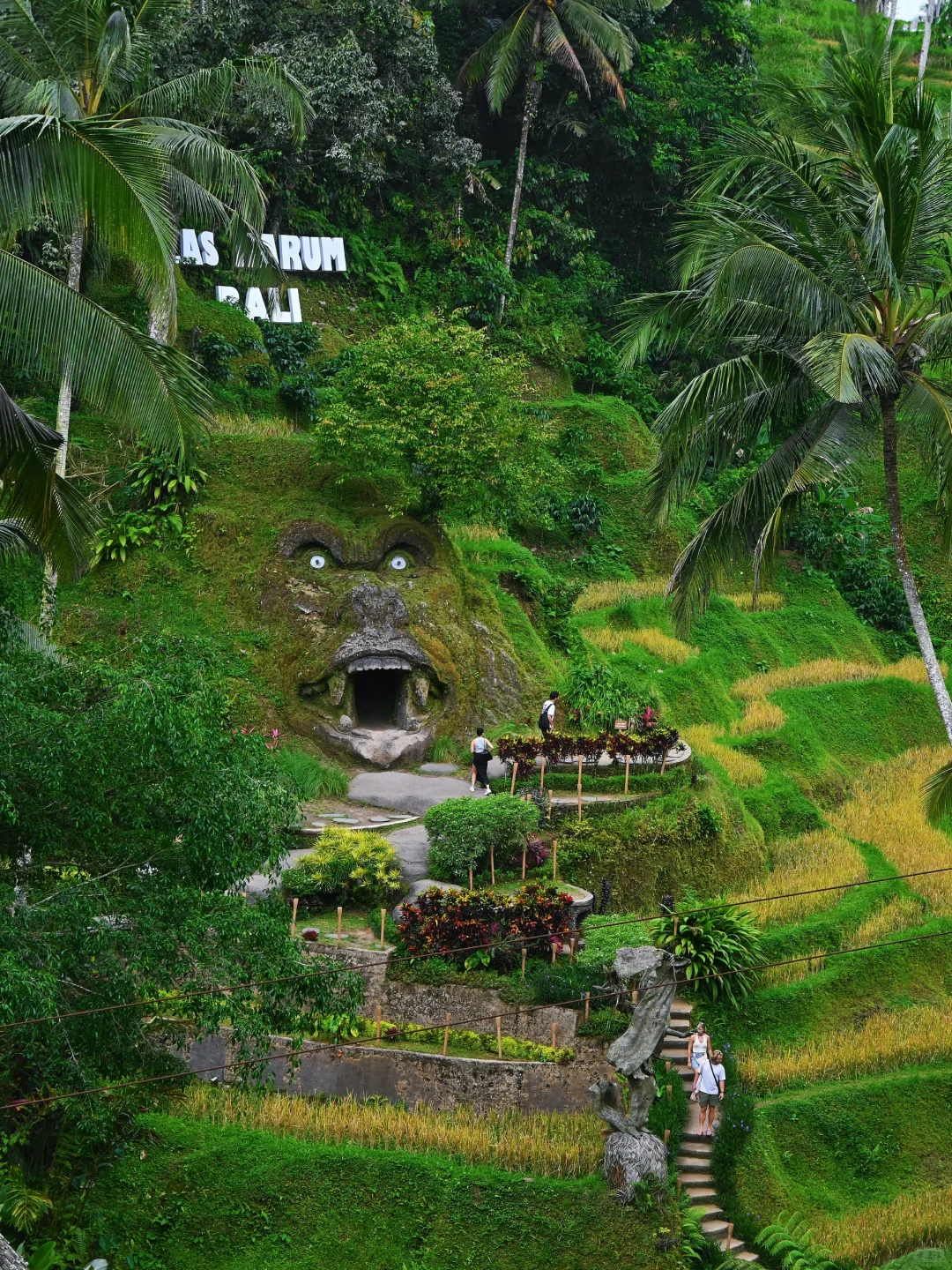 离开巴厘岛的后劲比失恋还大…😭😭😭