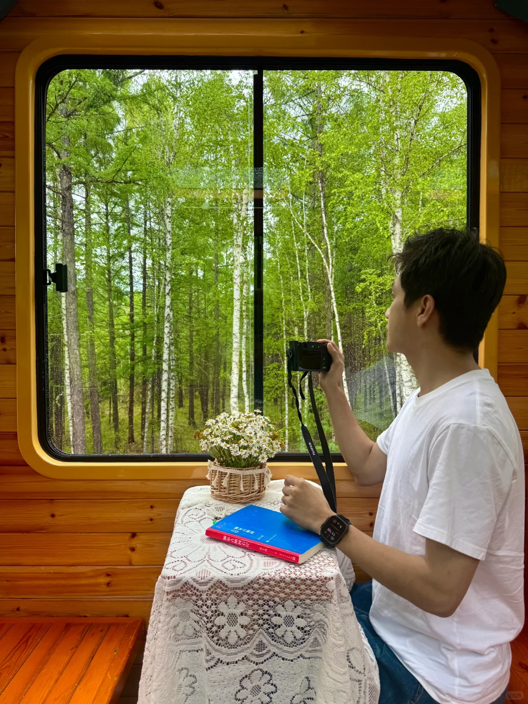 Live实拍❗️初夏的内蒙古才是人间理想❗️