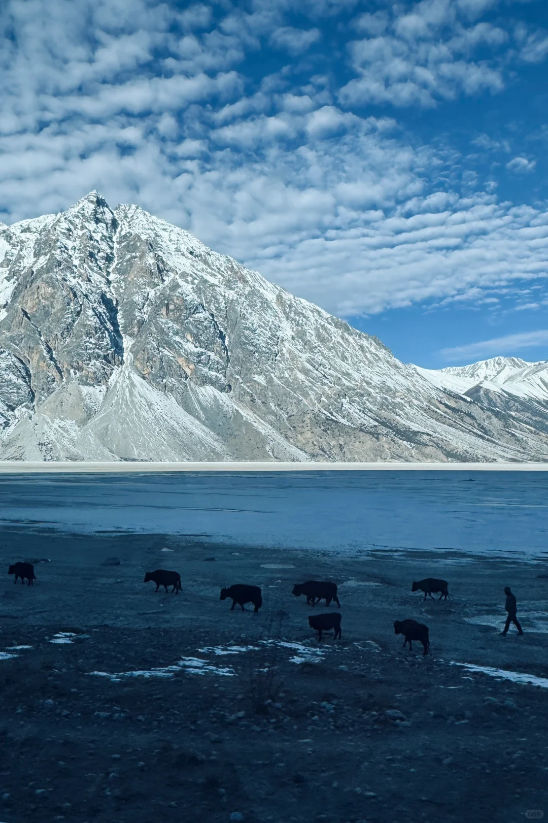 Live｜西藏的美是避世的