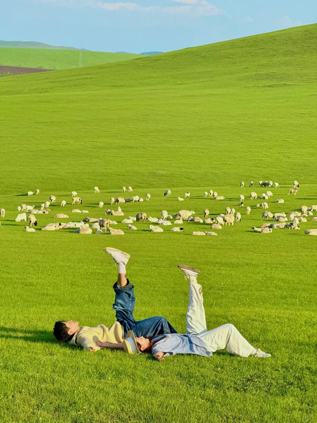 Live实拍❗️初夏的内蒙古才是人间理想❗️