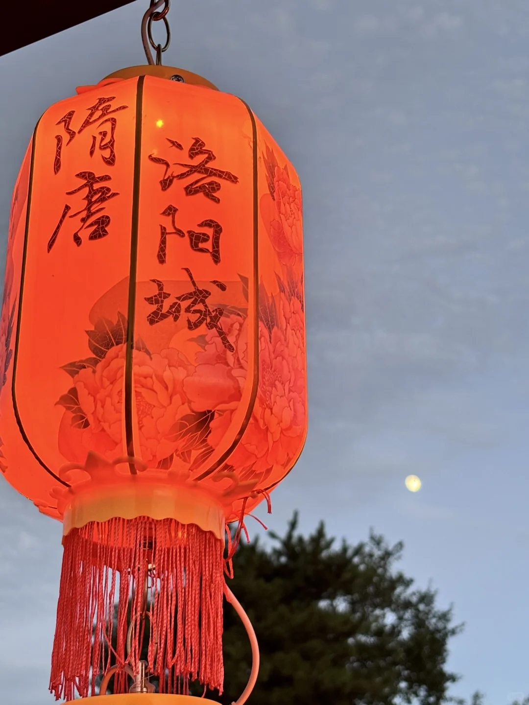 📍洛阳||若问古今兴废事，请君只看洛阳城