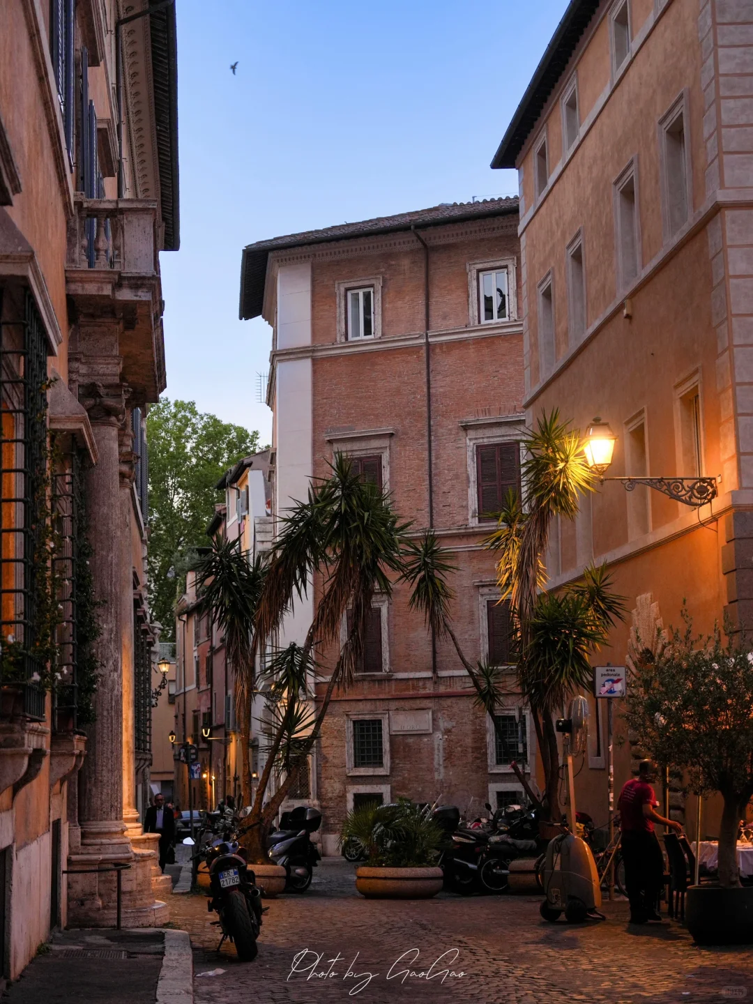 记忆里的阳光是罗马色的