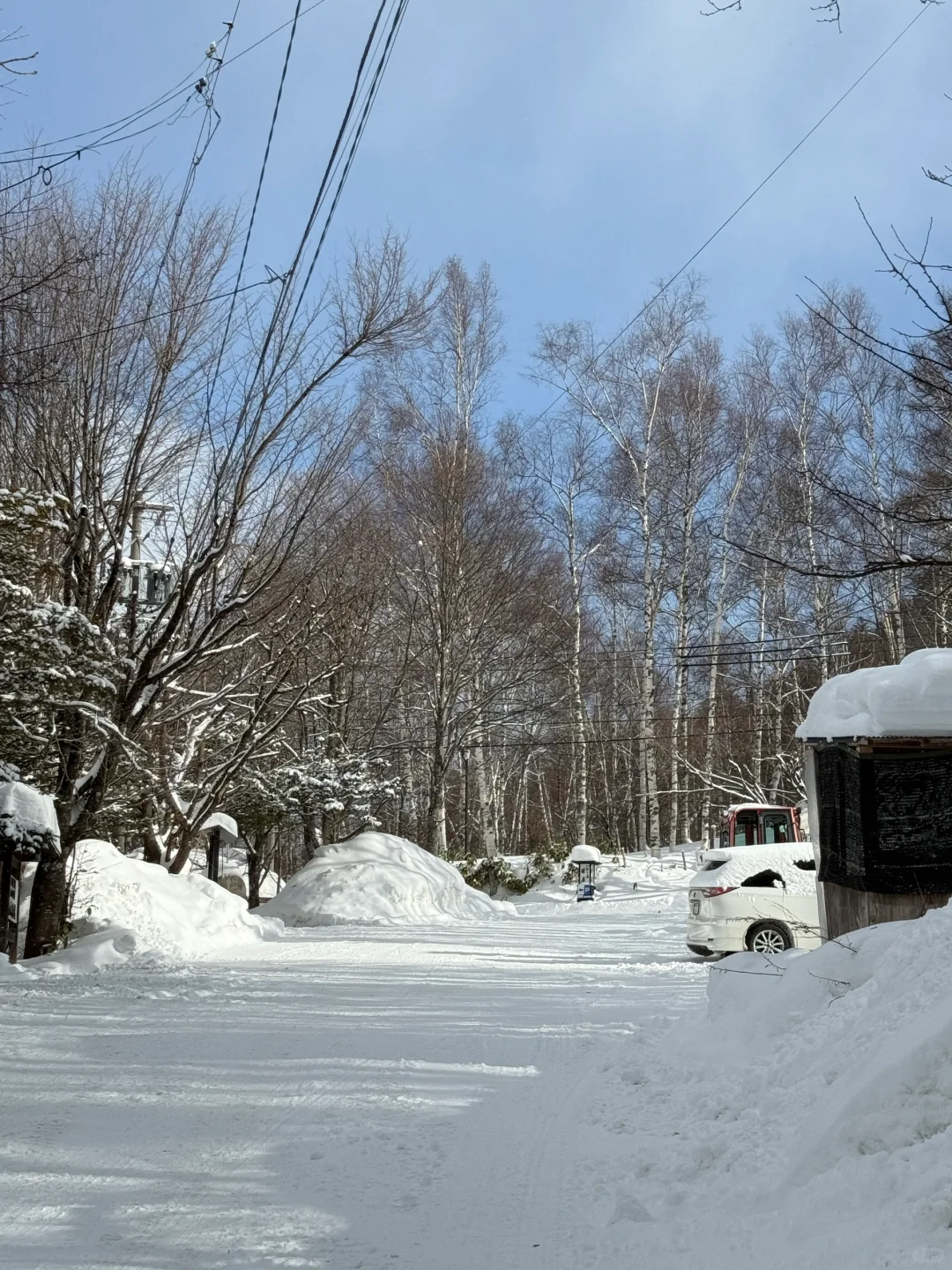 一次难忘的泡汤♨️