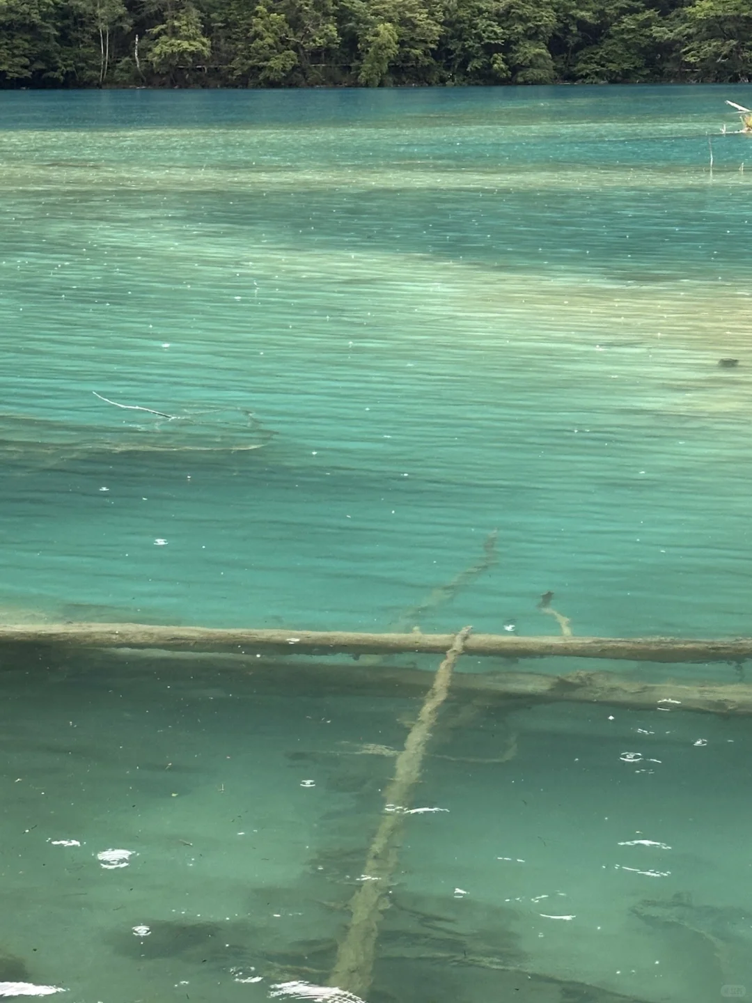 九寨沟7月中旬实况