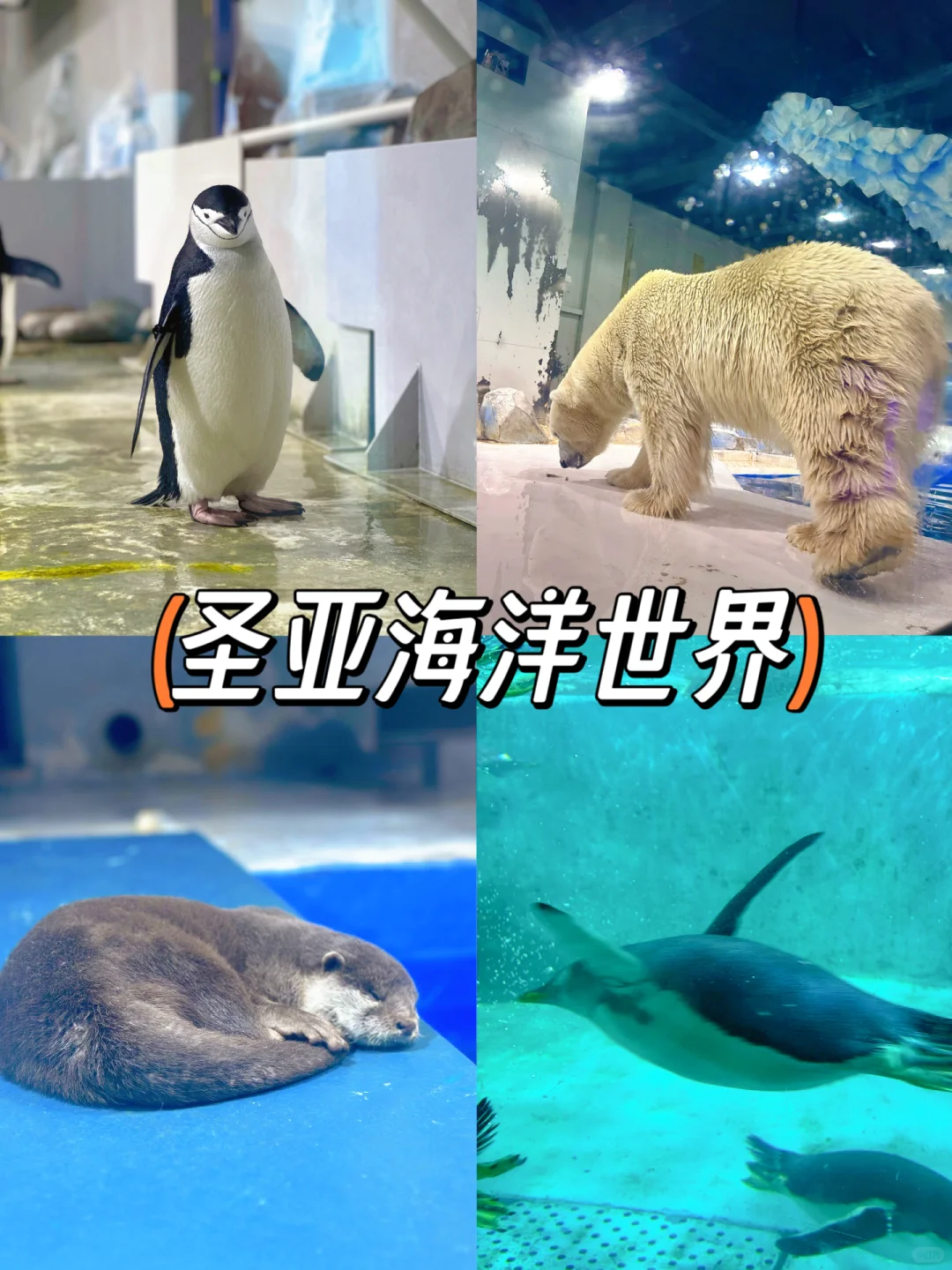 今年暑假，我只带娃去一个地方：大连！