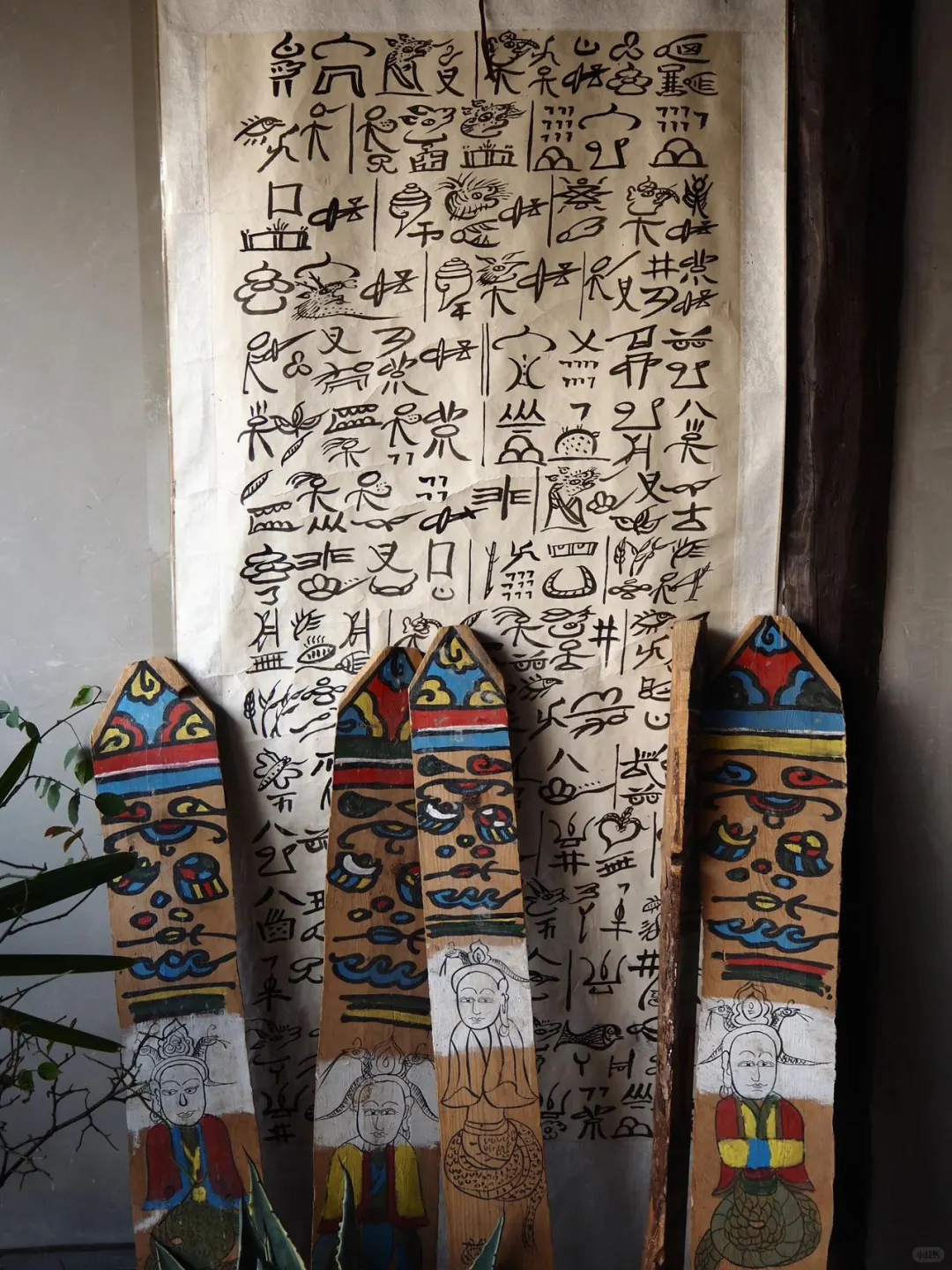 这个暑假，一定要来云南感受一下四季如春