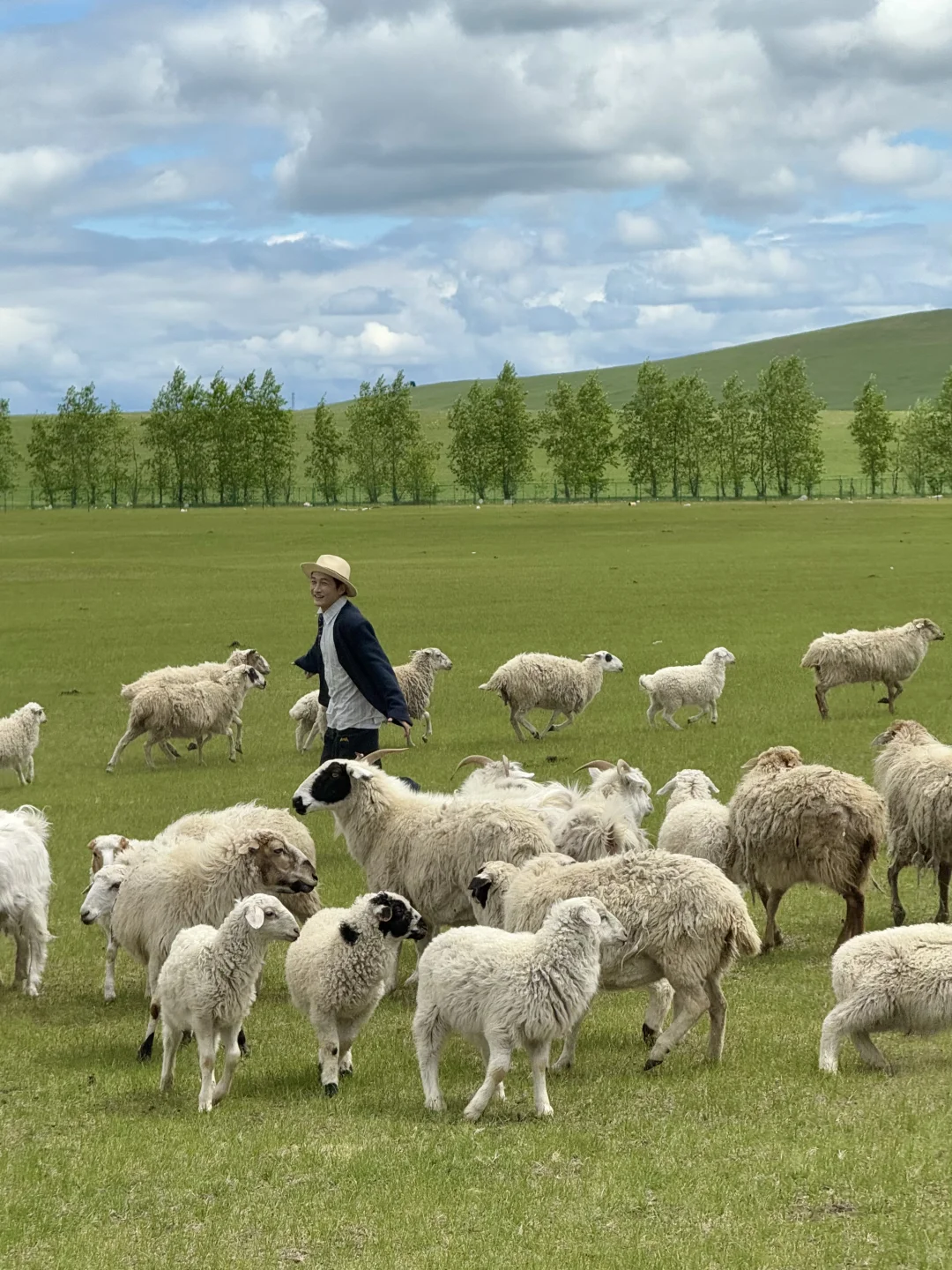 Live实拍❗️初夏的内蒙古才是人间理想❗️