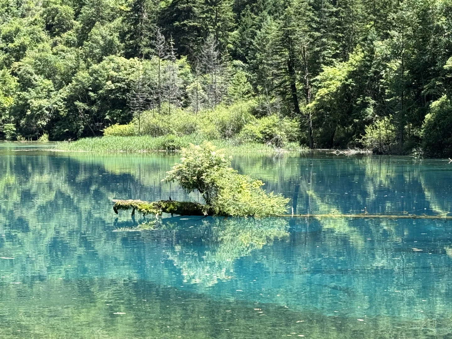 九寨沟7月中旬实况