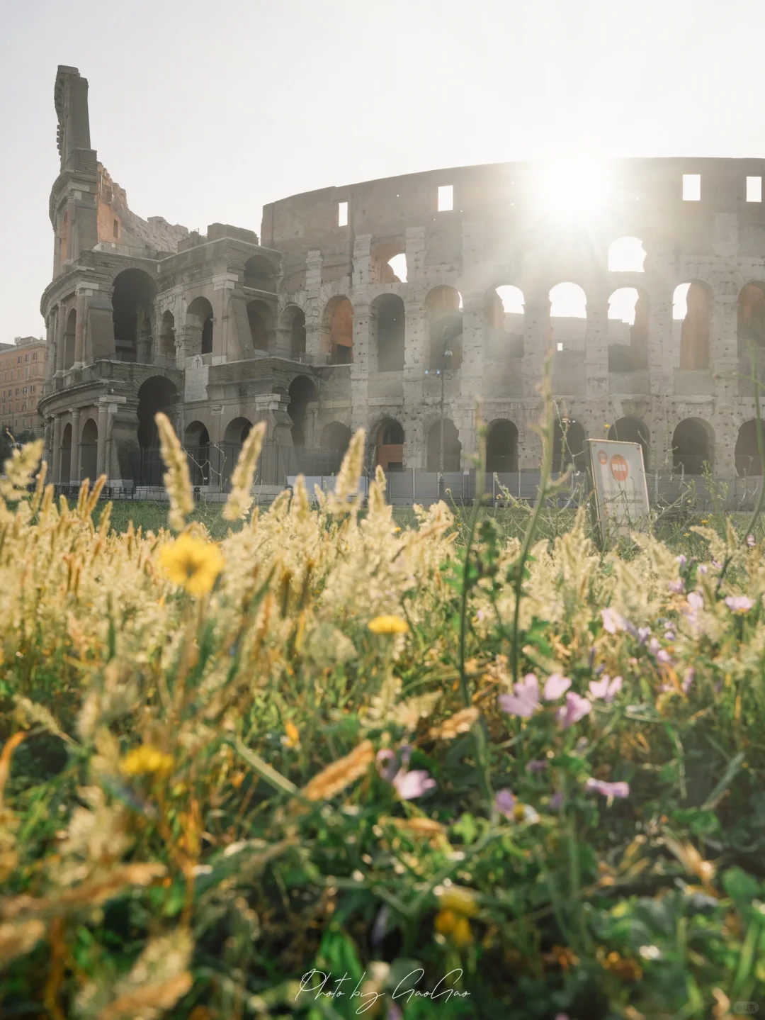 记忆里的阳光是罗马色的