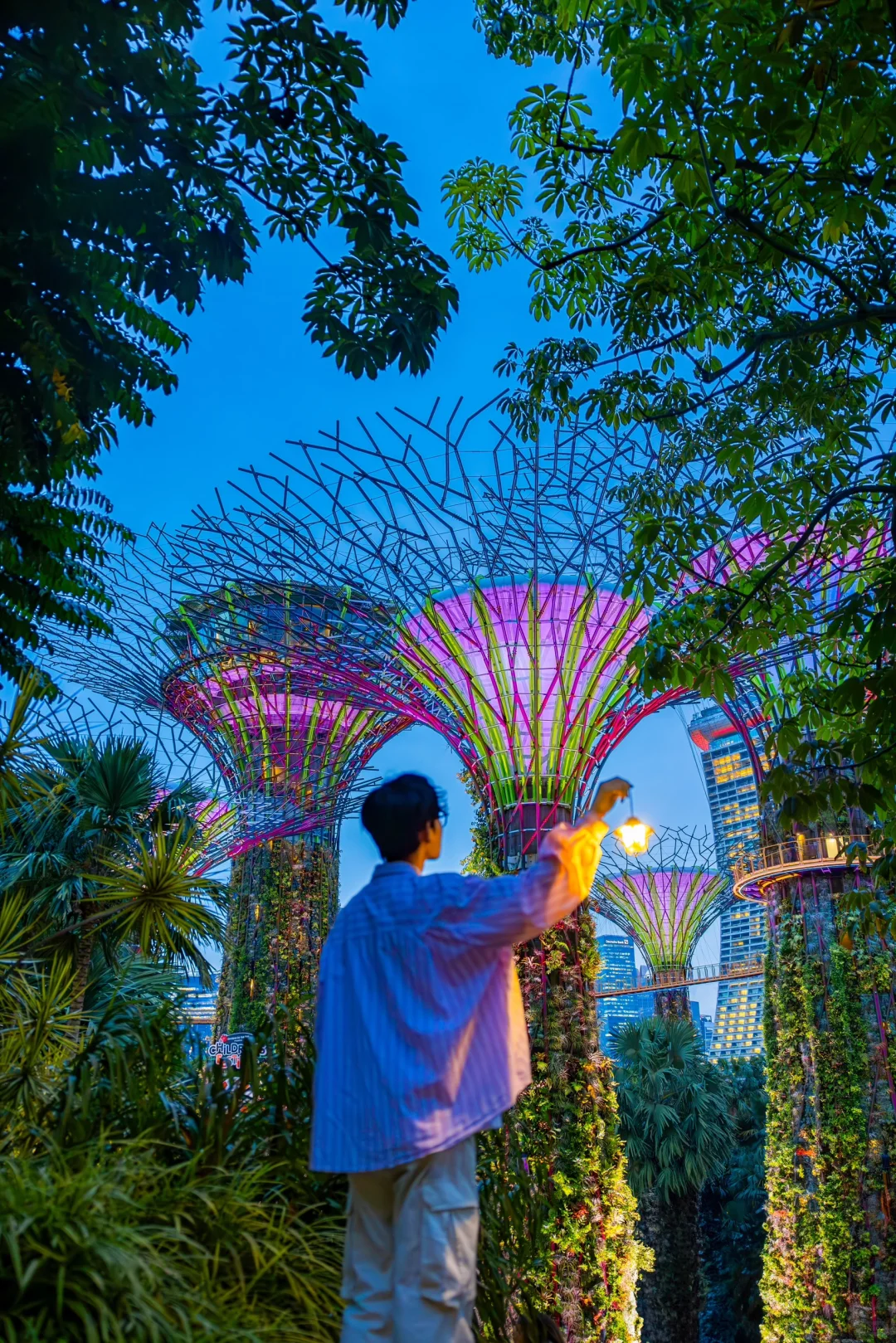 新加坡Citywalk的照片，发朋友圈被问疯了‼️