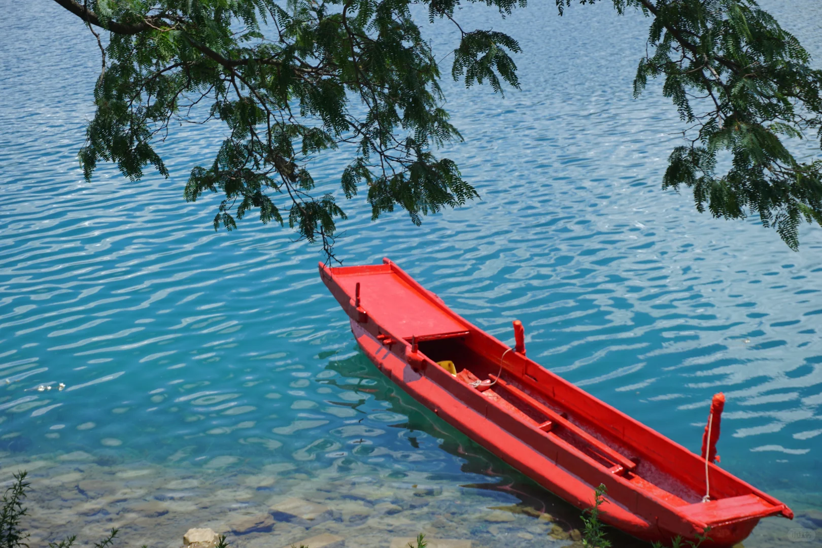 在泸沽湖看到了果冻湖🌊