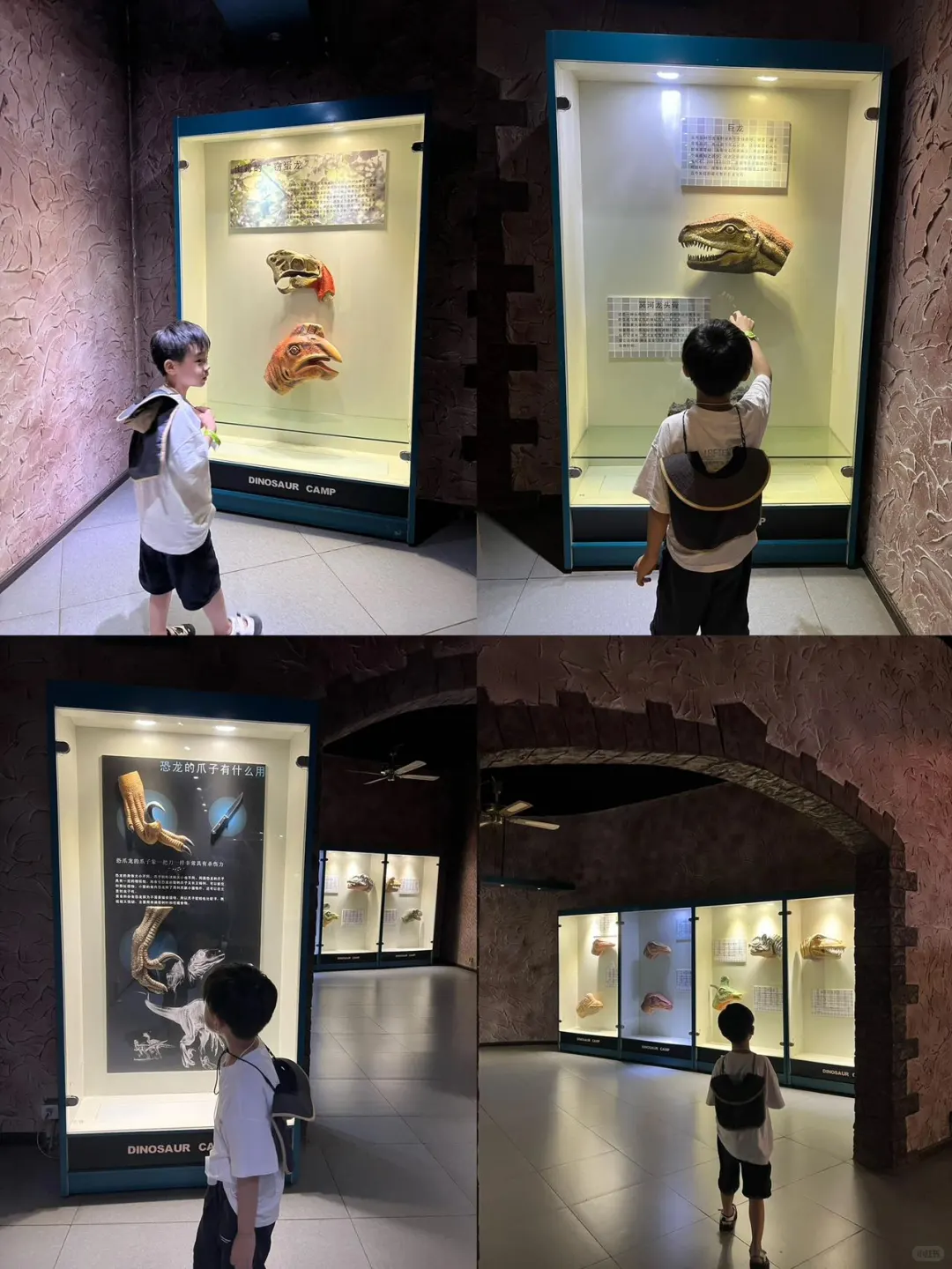 这个暑假，一定要来云南感受一下四季如春