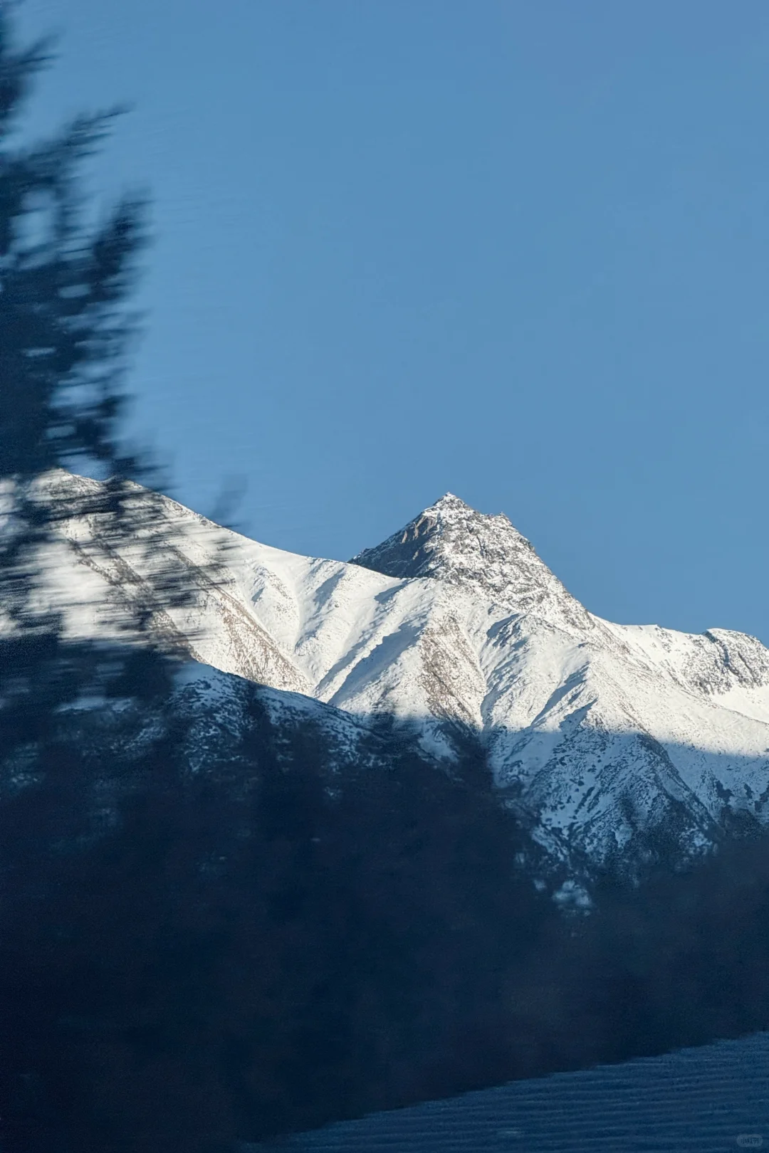 Live｜西藏的美是避世的