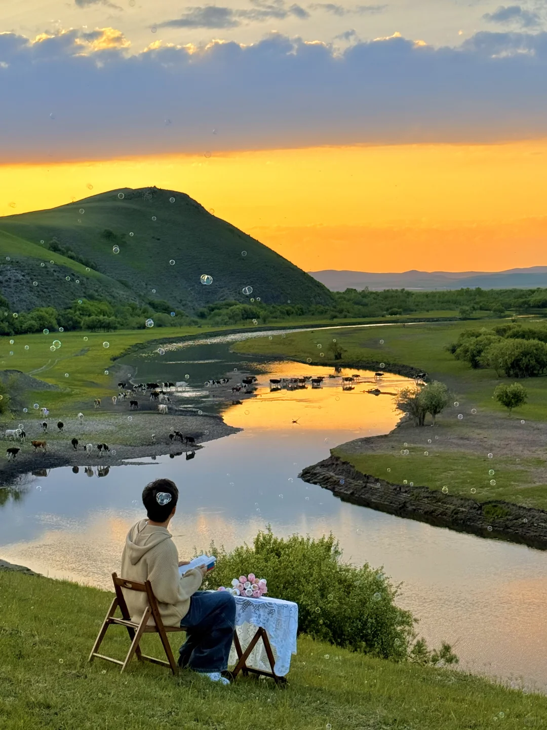 Live实拍❗️初夏的内蒙古才是人间理想❗️