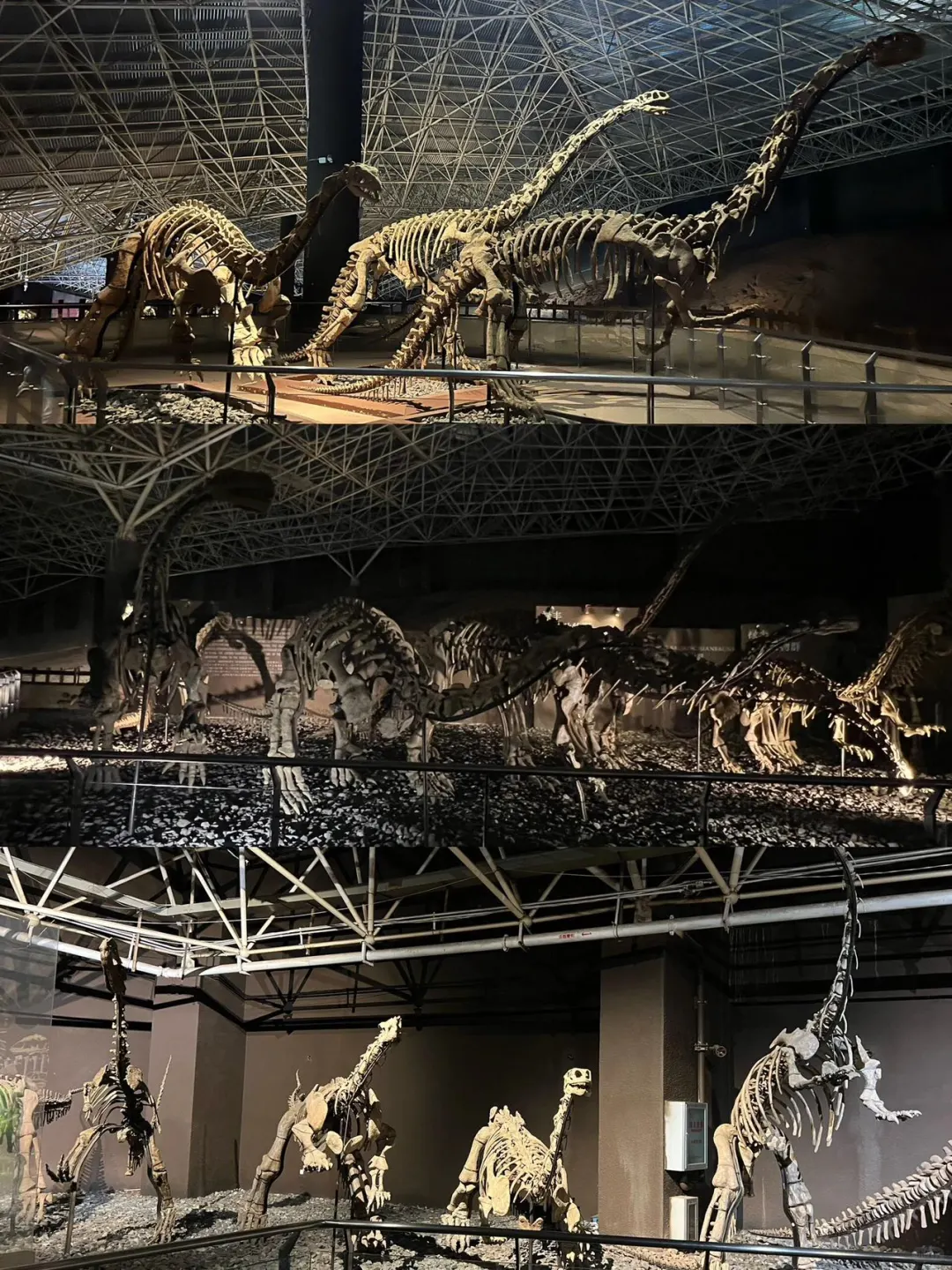 这个暑假，一定要来云南感受一下四季如春