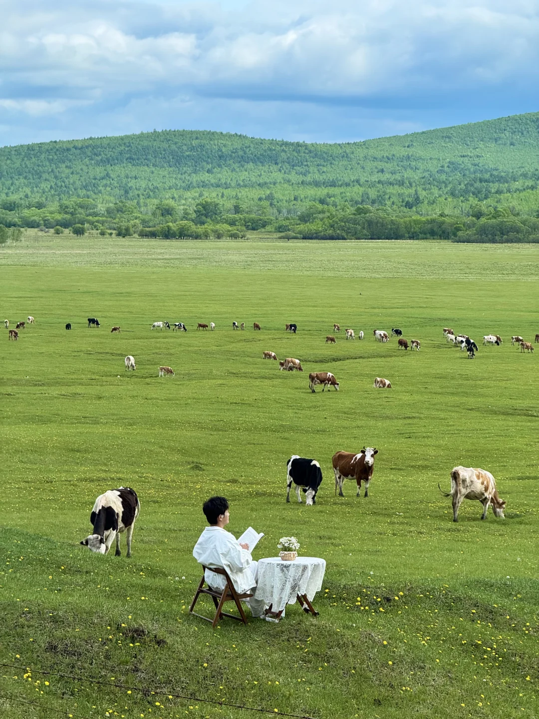 Live实拍❗️初夏的内蒙古才是人间理想❗️
