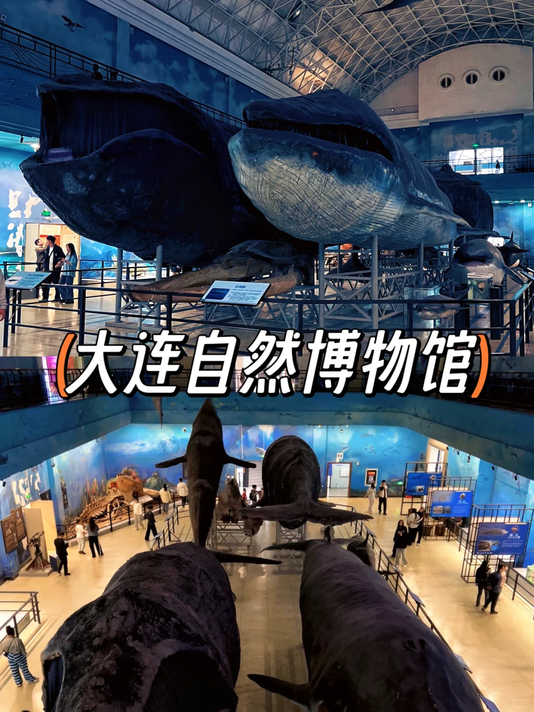 今年暑假，我只带娃去一个地方：大连！