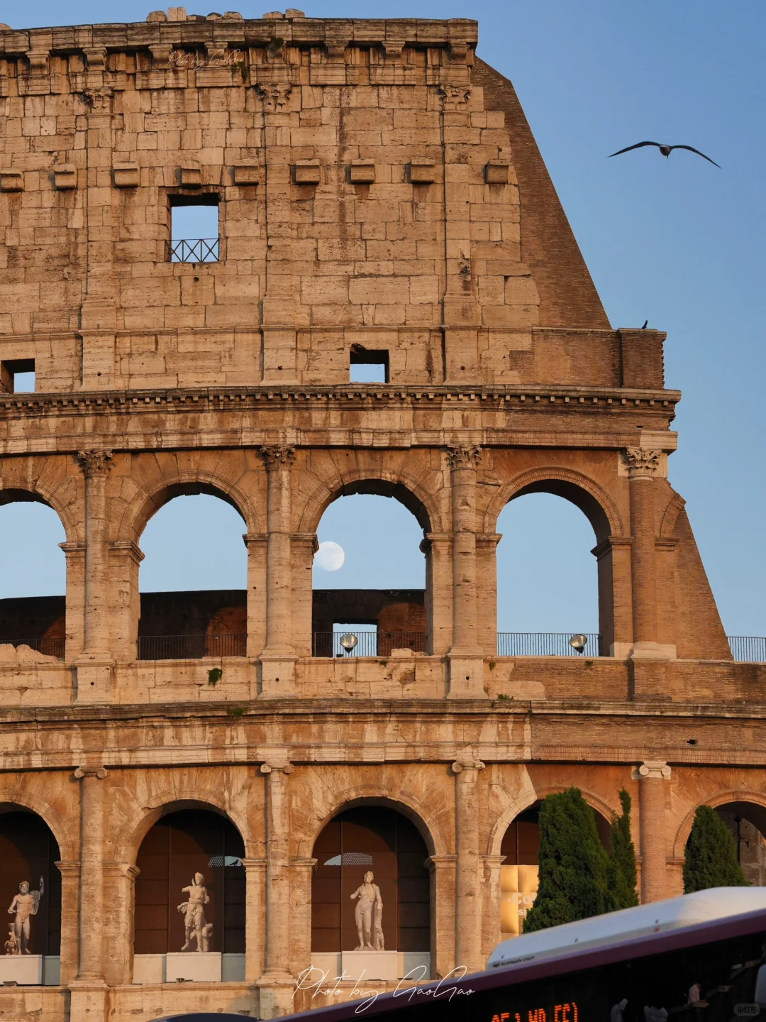 记忆里的阳光是罗马色的