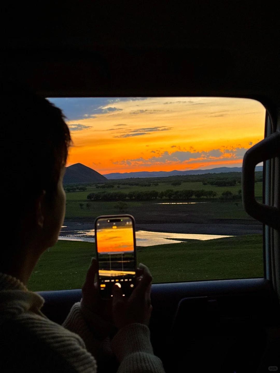 Live实拍❗️初夏的内蒙古才是人间理想❗️