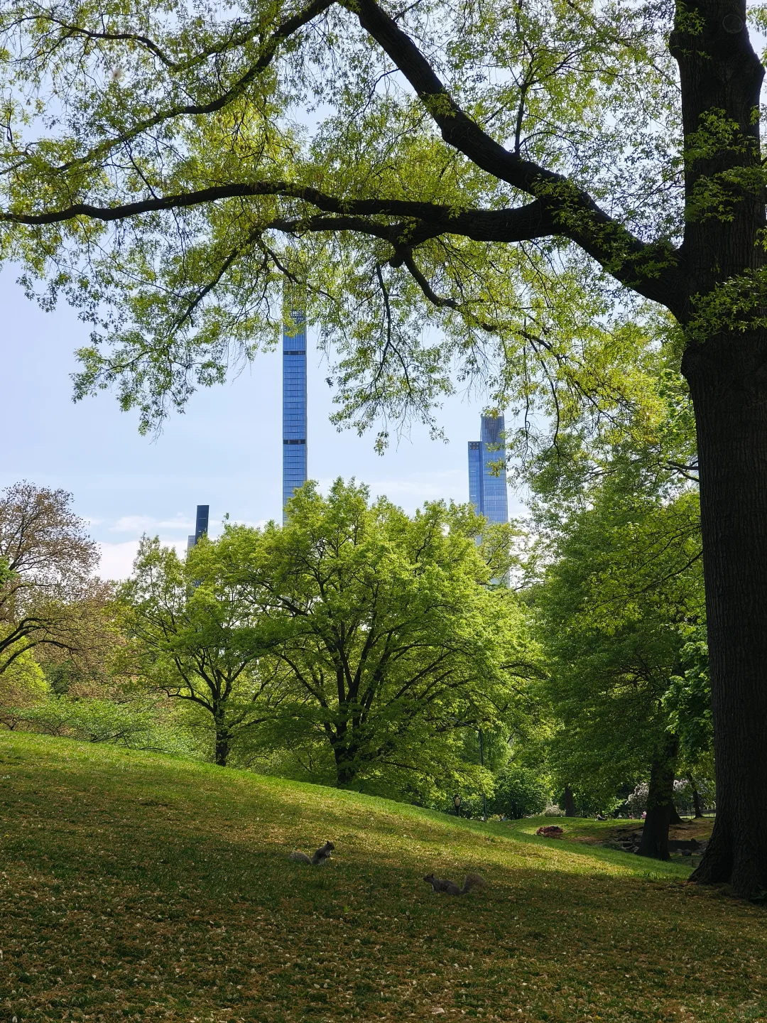 🇺🇸25岁ENFJ纽约solo trip🥳