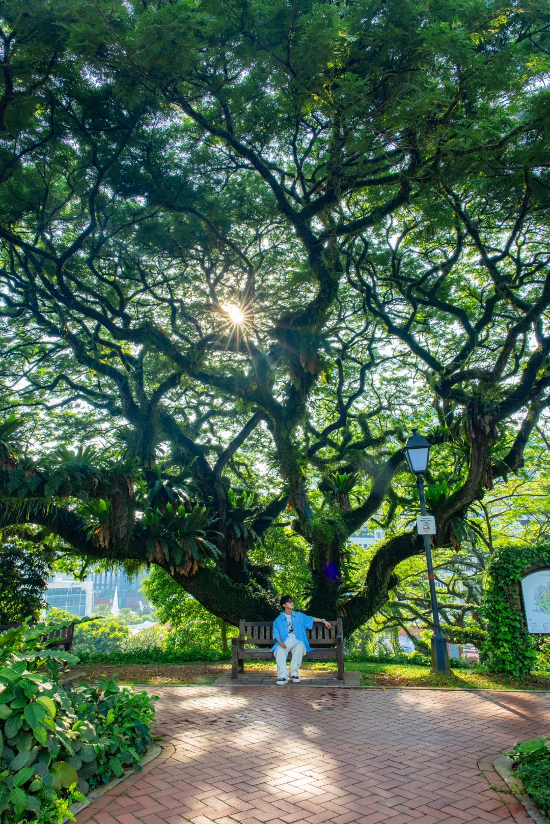 新加坡Citywalk的照片，发朋友圈被问疯了‼️