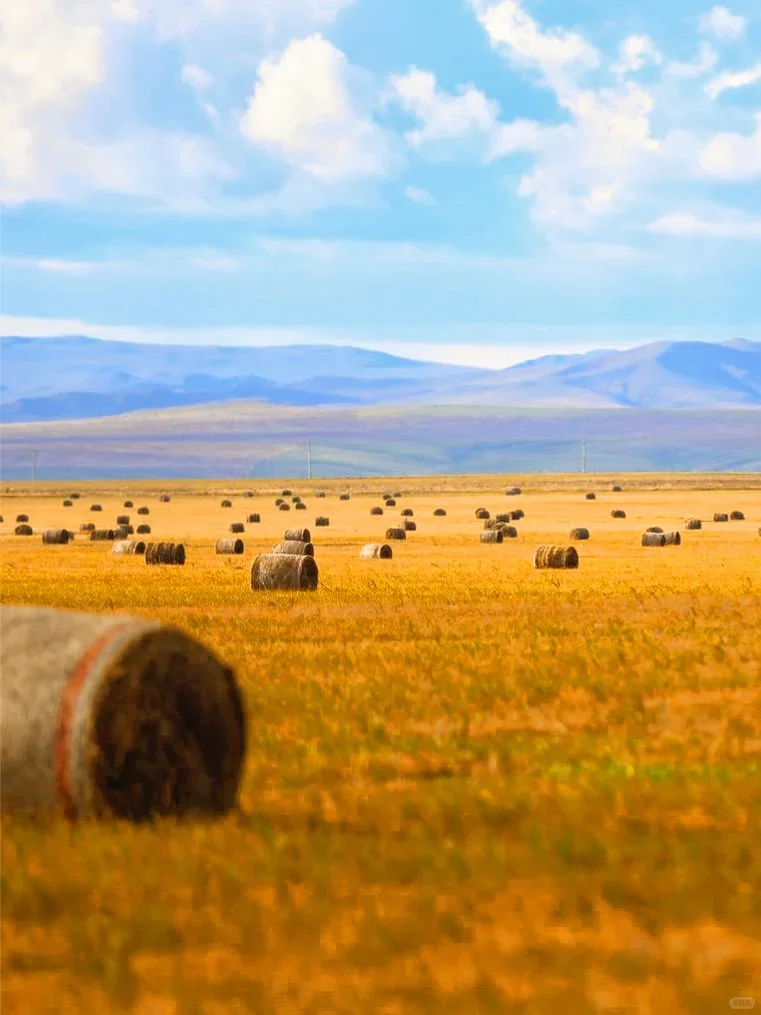 人生建议9-10月一定要去呼伦贝尔看秋天童话