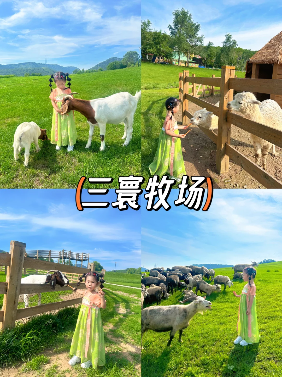 今年暑假，我只带娃去一个地方：大连！