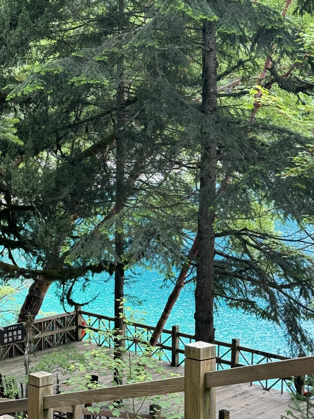 九寨沟7月中旬实况