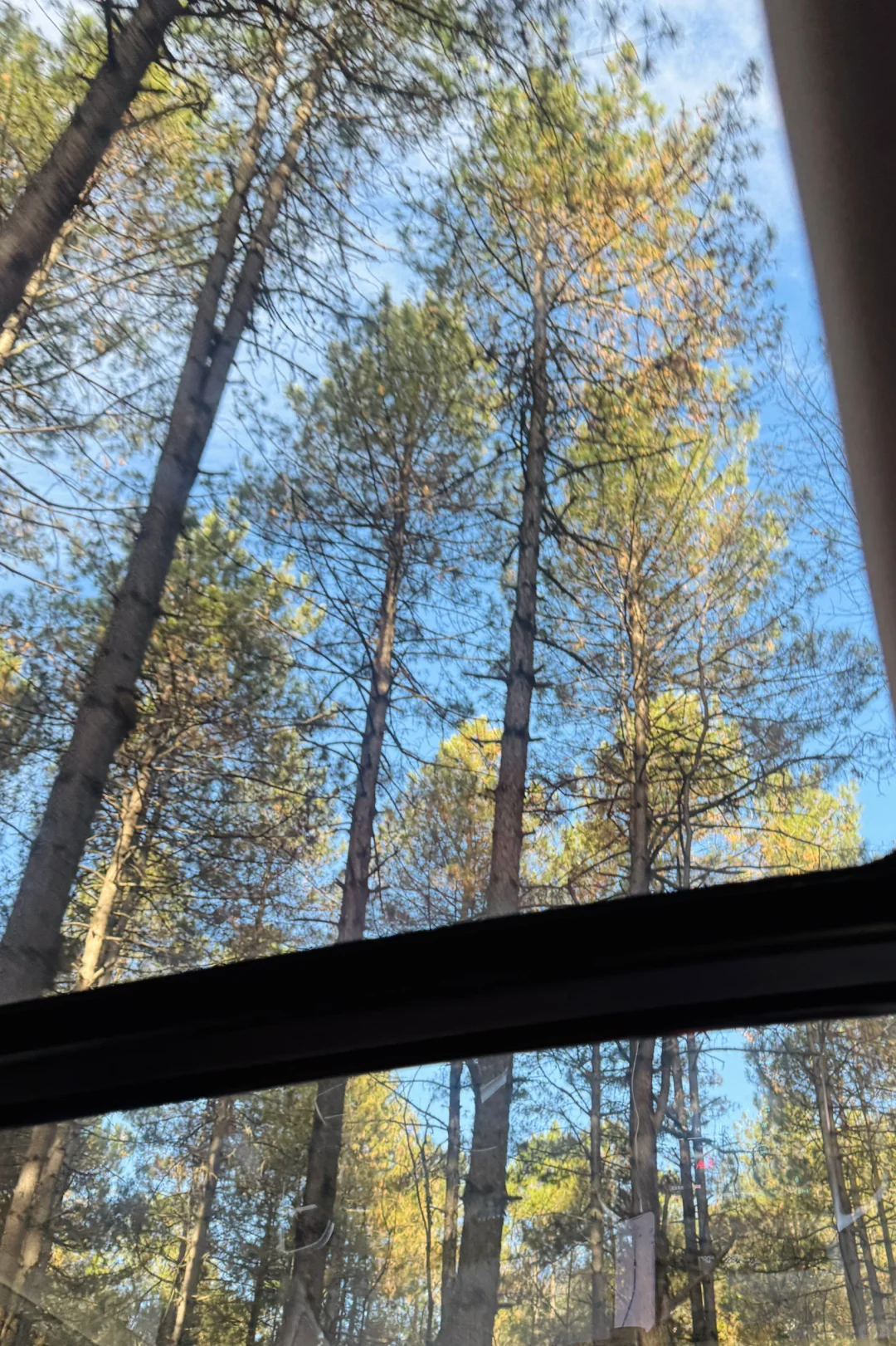 Live｜西藏的美是避世的