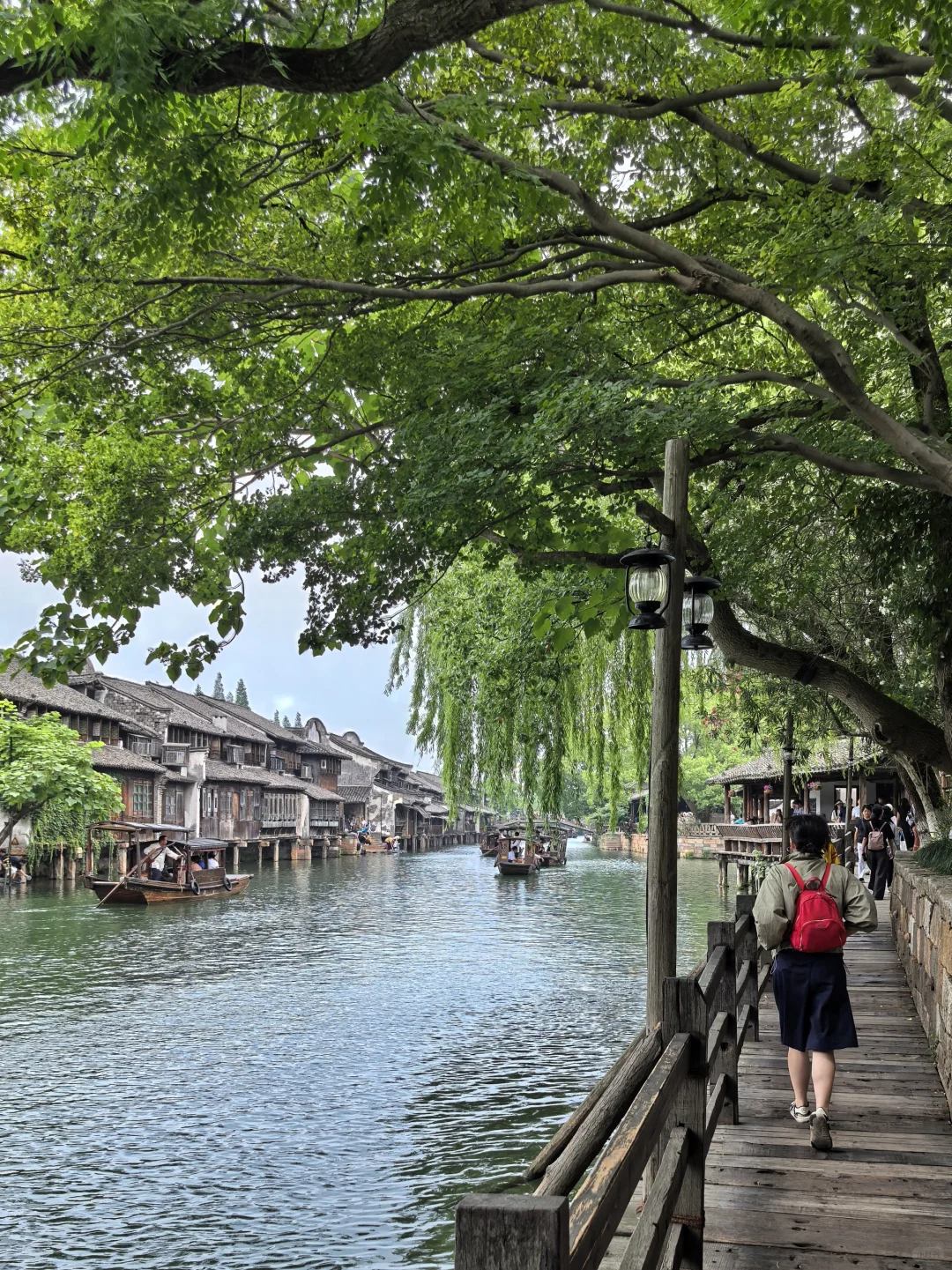 浙江古镇游，嘉兴桐乡乌镇