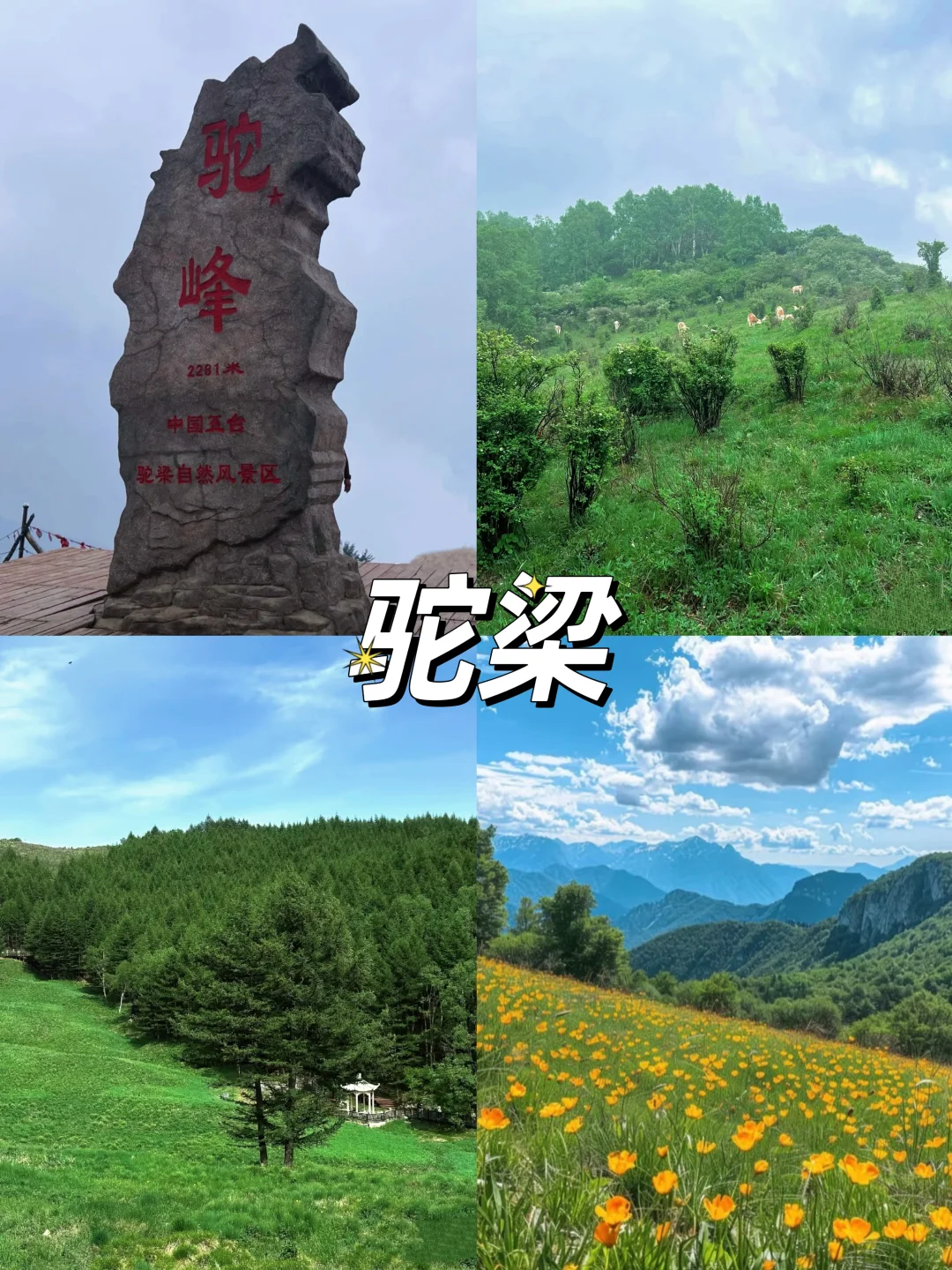 这个暑假，河北多个景区宣布免费🆓上