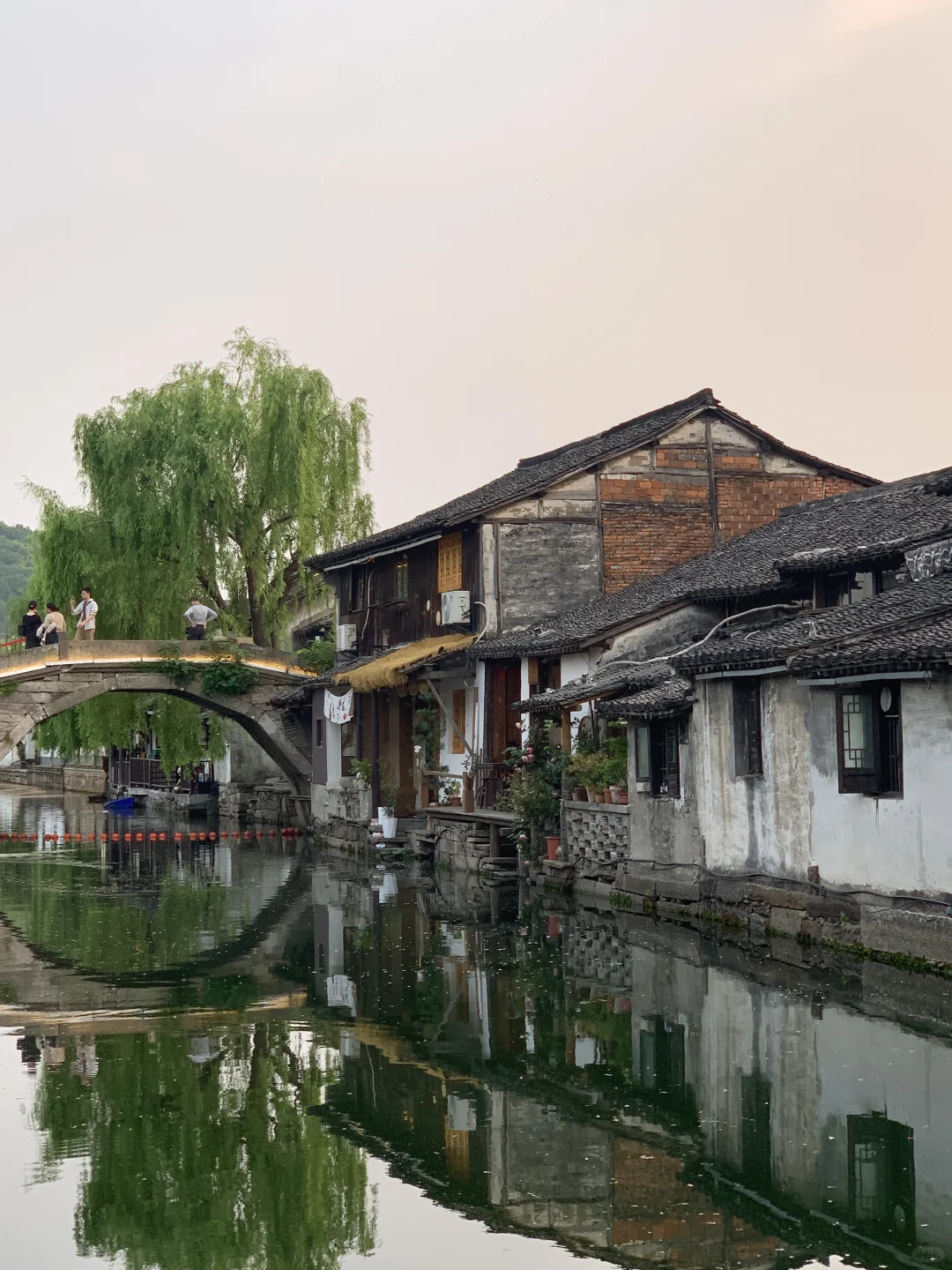 迅哥儿，你家好美🥹