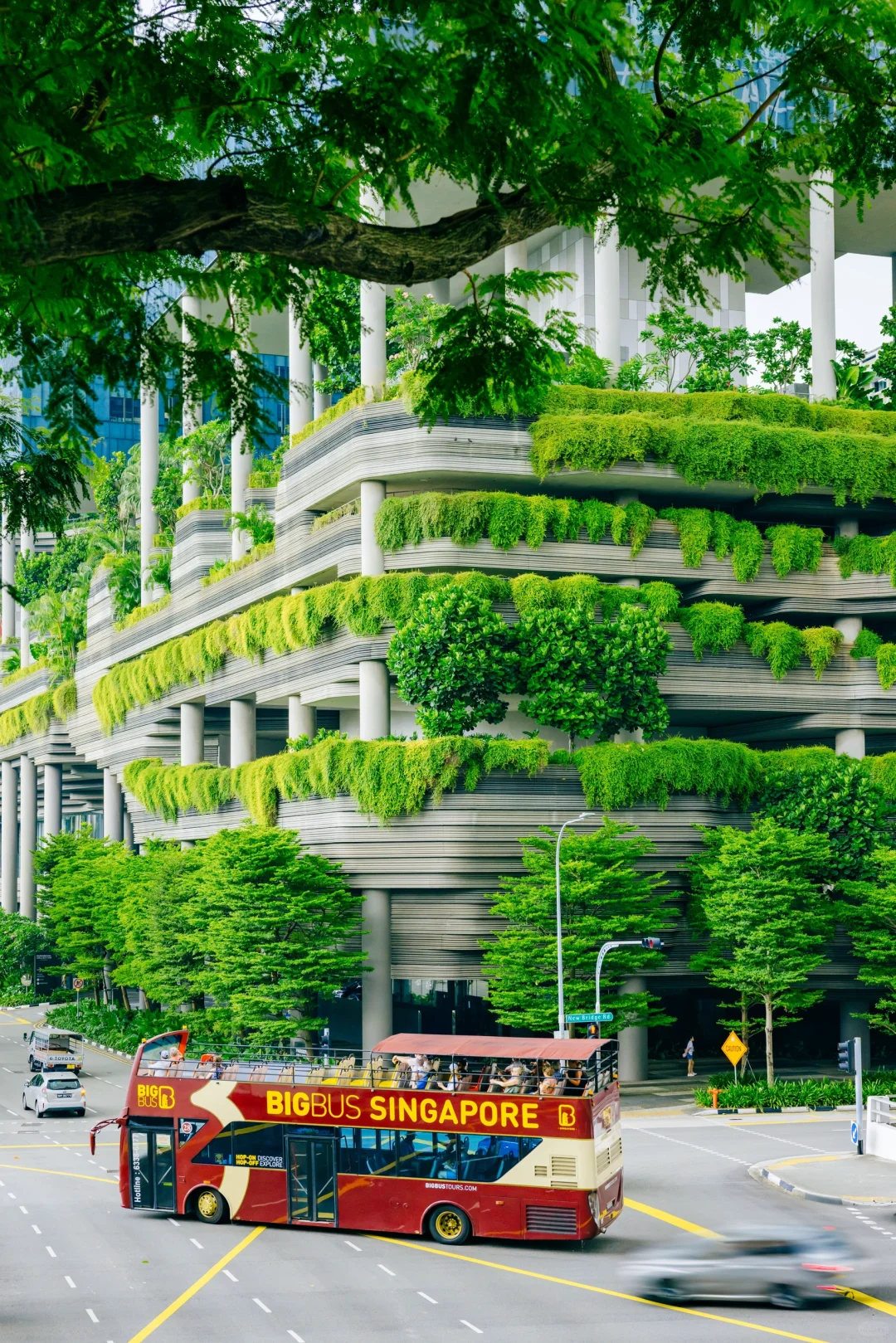 新加坡Citywalk的照片，发朋友圈被问疯了‼️