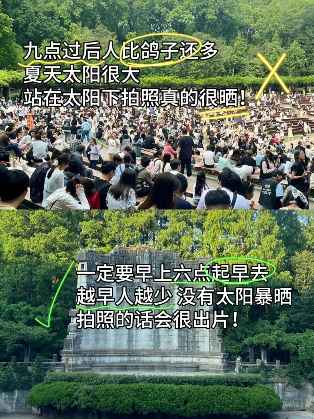 南京钟山风景区夏日轻松玩法，看这篇就够啦