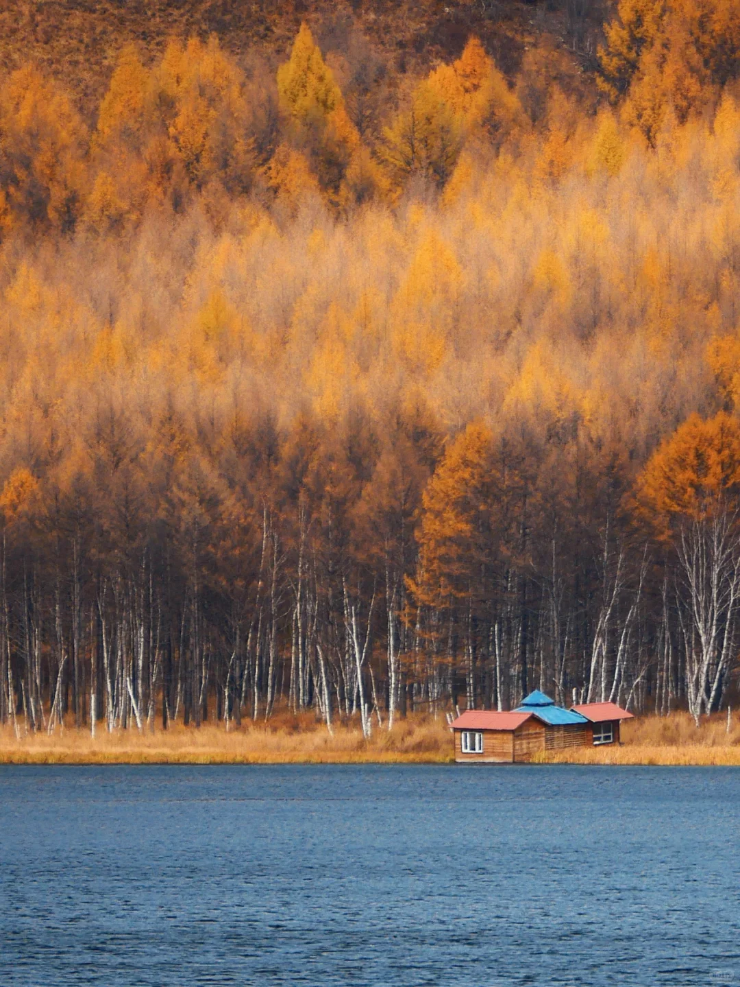 人生建议9-10月一定要去呼伦贝尔看秋天童话