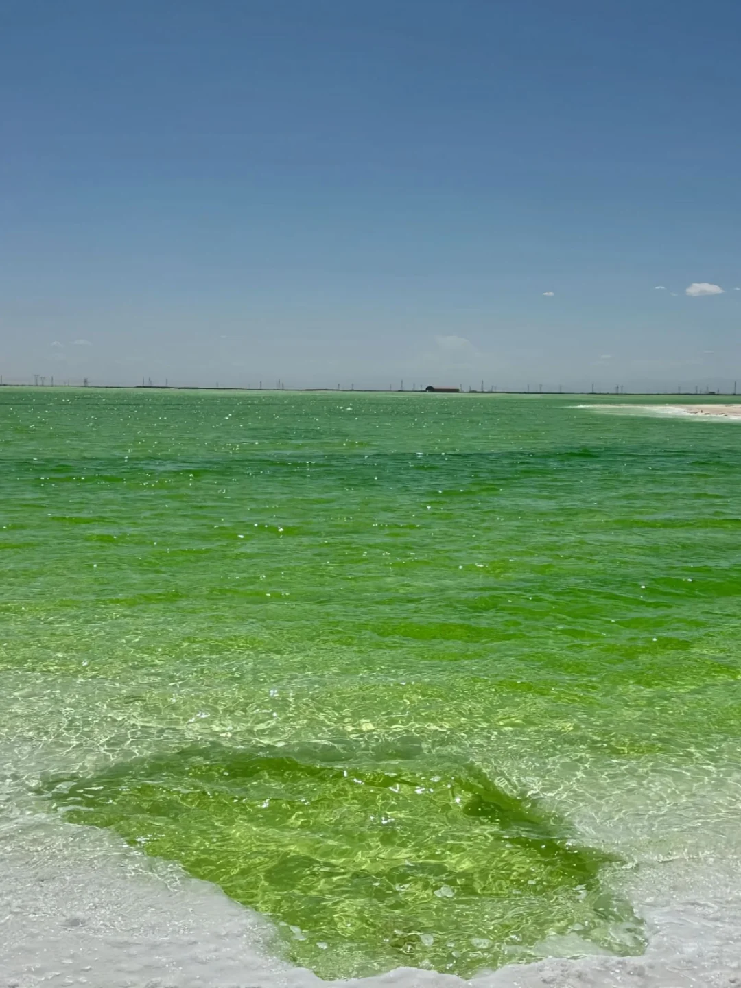 关于我和男朋友报了个西北半自由团后续……