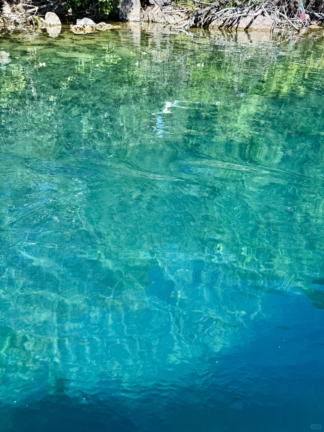 在泸沽湖看到了果冻湖🌊