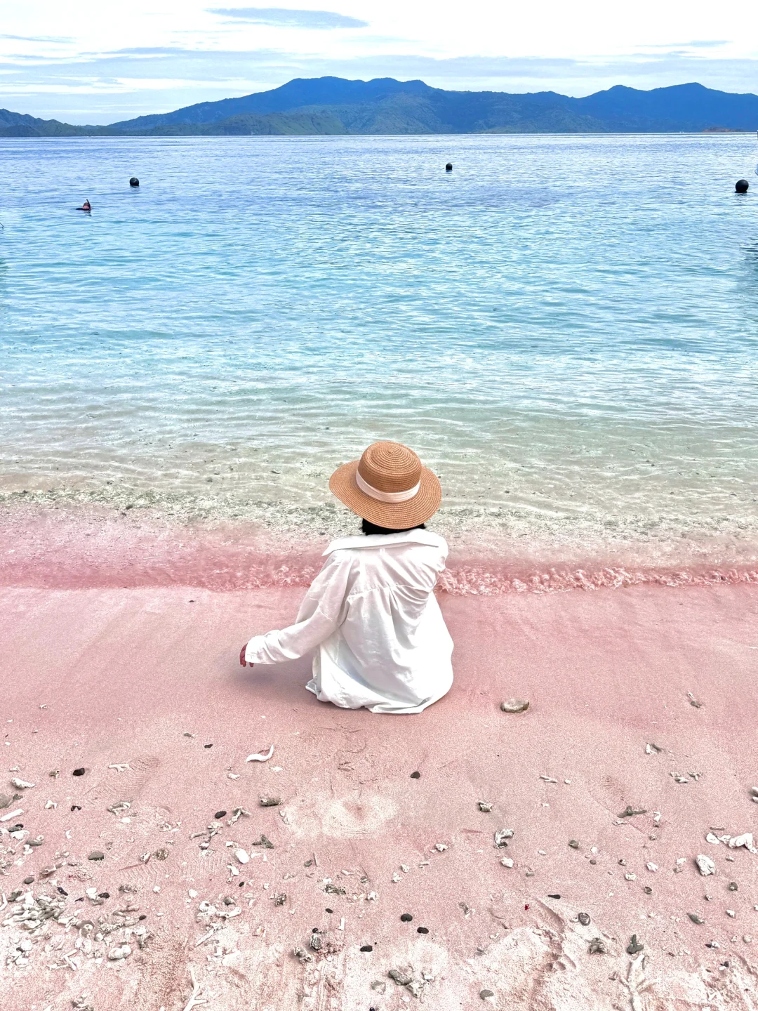 印尼科莫多🇮🇩｜这是传说中的粉色沙滩吗？！