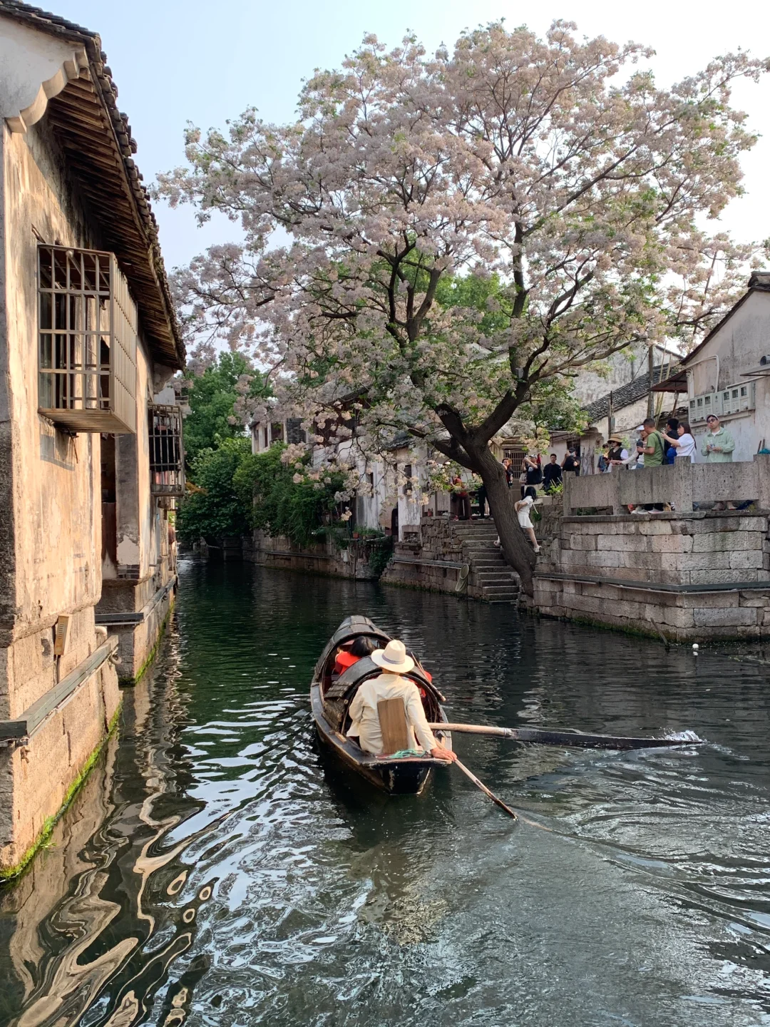 迅哥儿，你家好美🥹