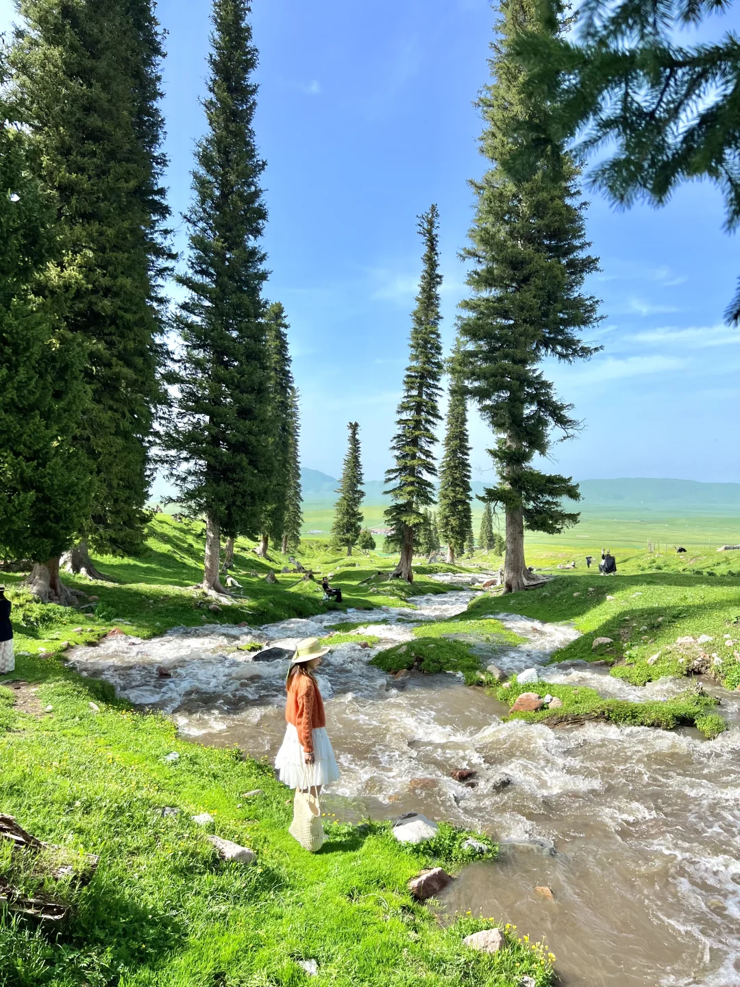 在新疆拍到了我的人生live!🌲🐂🐑🍃