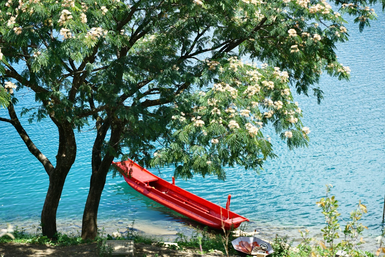 在泸沽湖看到了果冻湖🌊