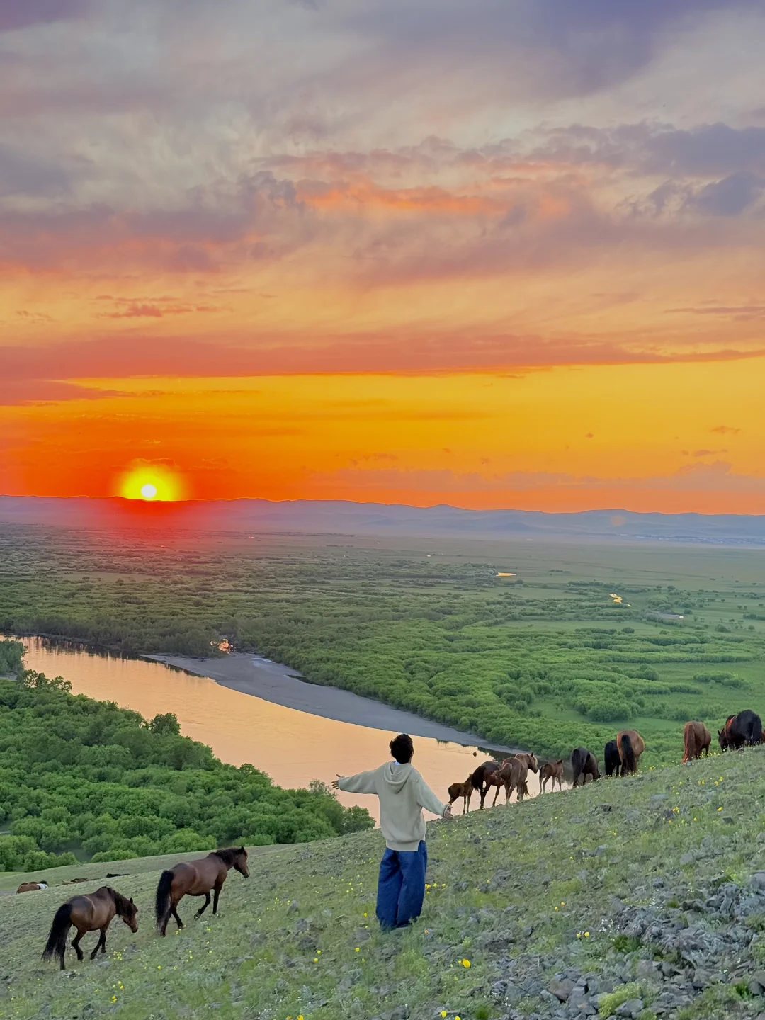 Live实拍❗️初夏的内蒙古才是人间理想❗️
