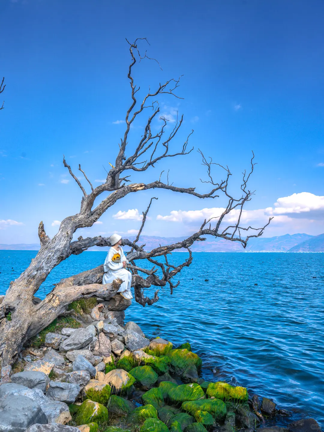 这个暑假，一定要来云南感受一下四季如春