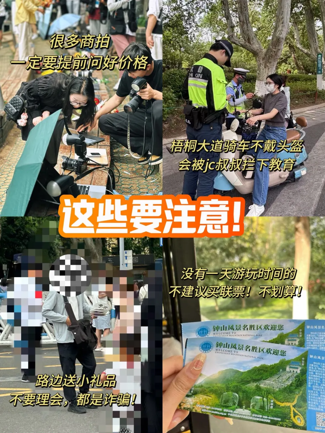 南京钟山风景区夏日轻松玩法，看这篇就够啦